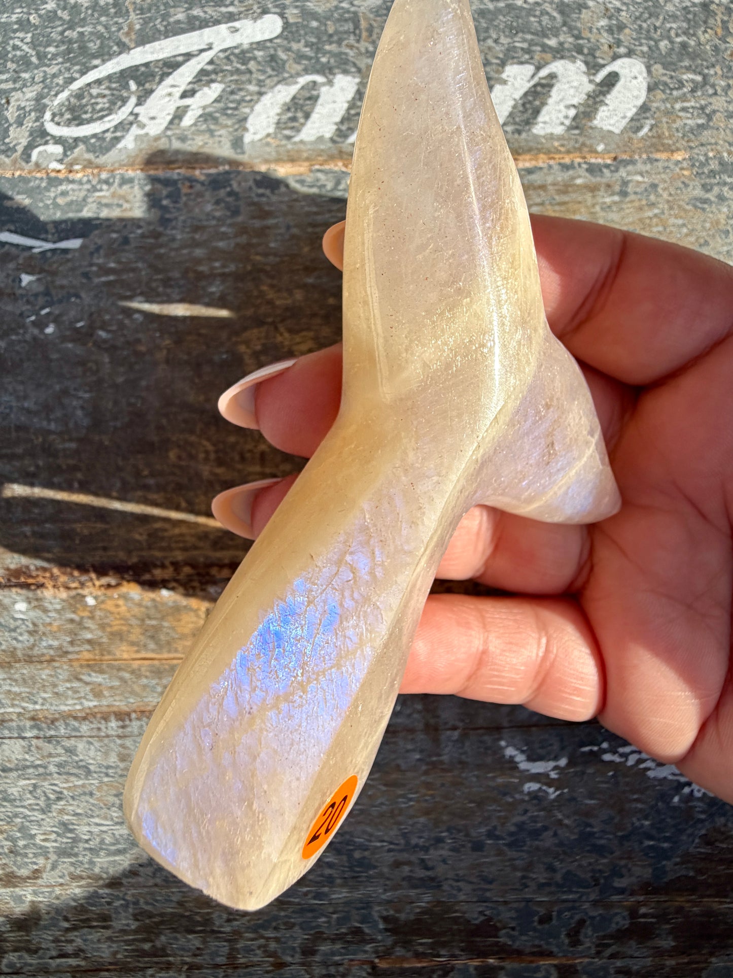 Gorgeous Blue Flash Moonstone Whale Tail | Opt 20