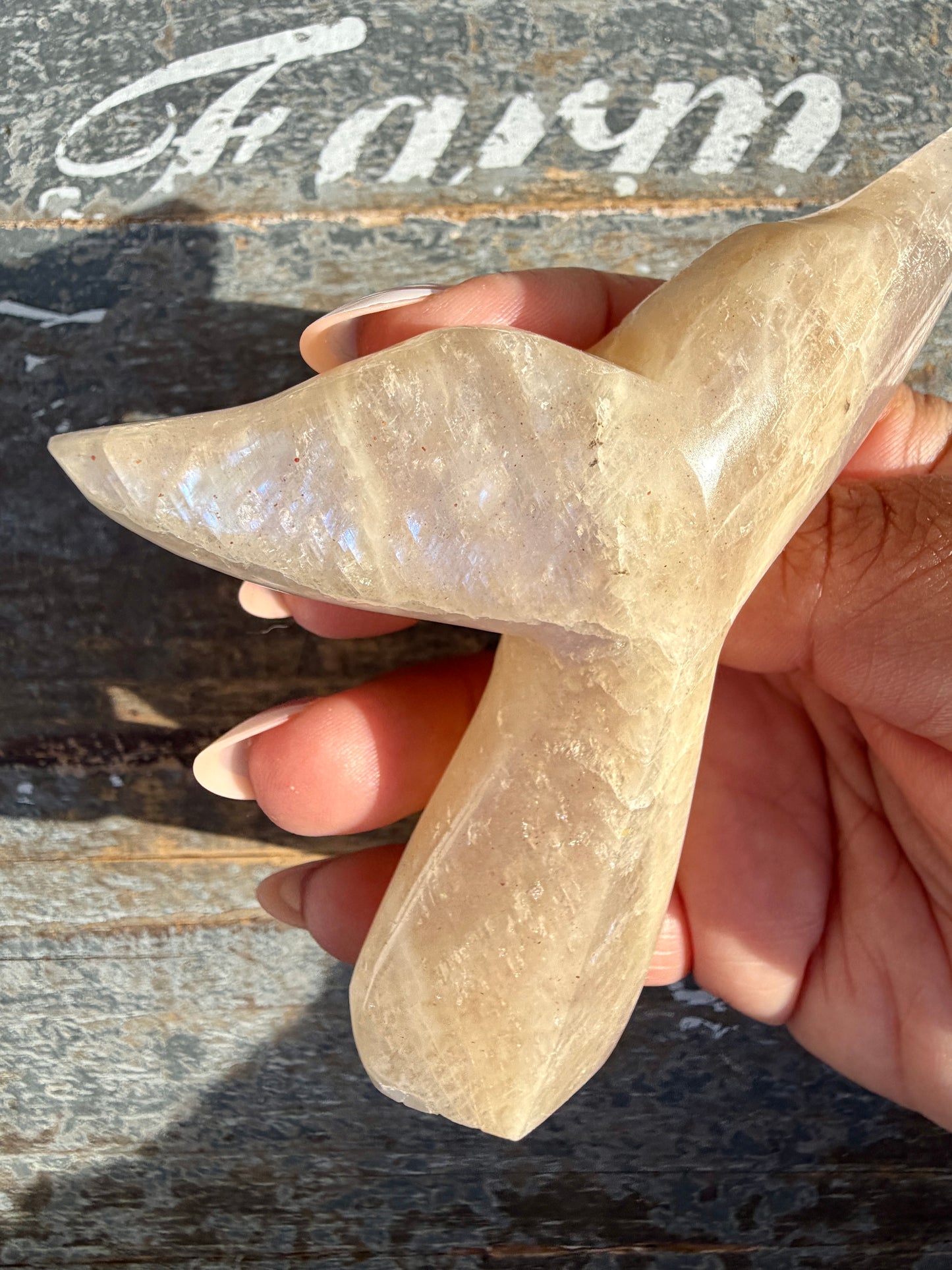 Gorgeous Blue Flash Moonstone Whale Tail | Opt 20