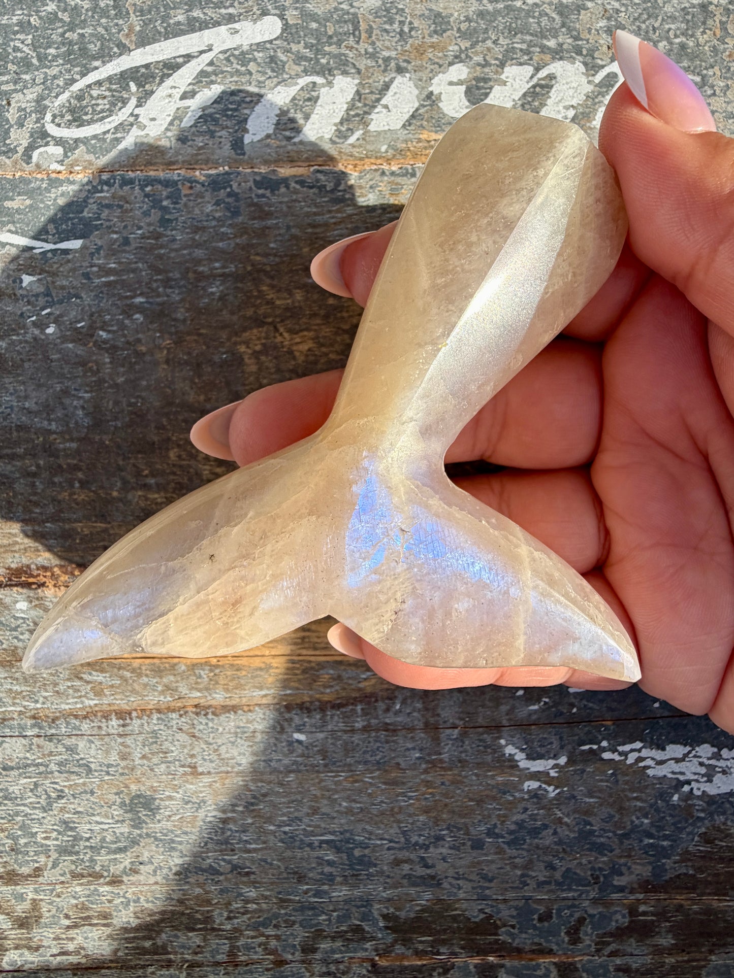 Gorgeous Blue Flash Moonstone Whale Tail | Opt 20