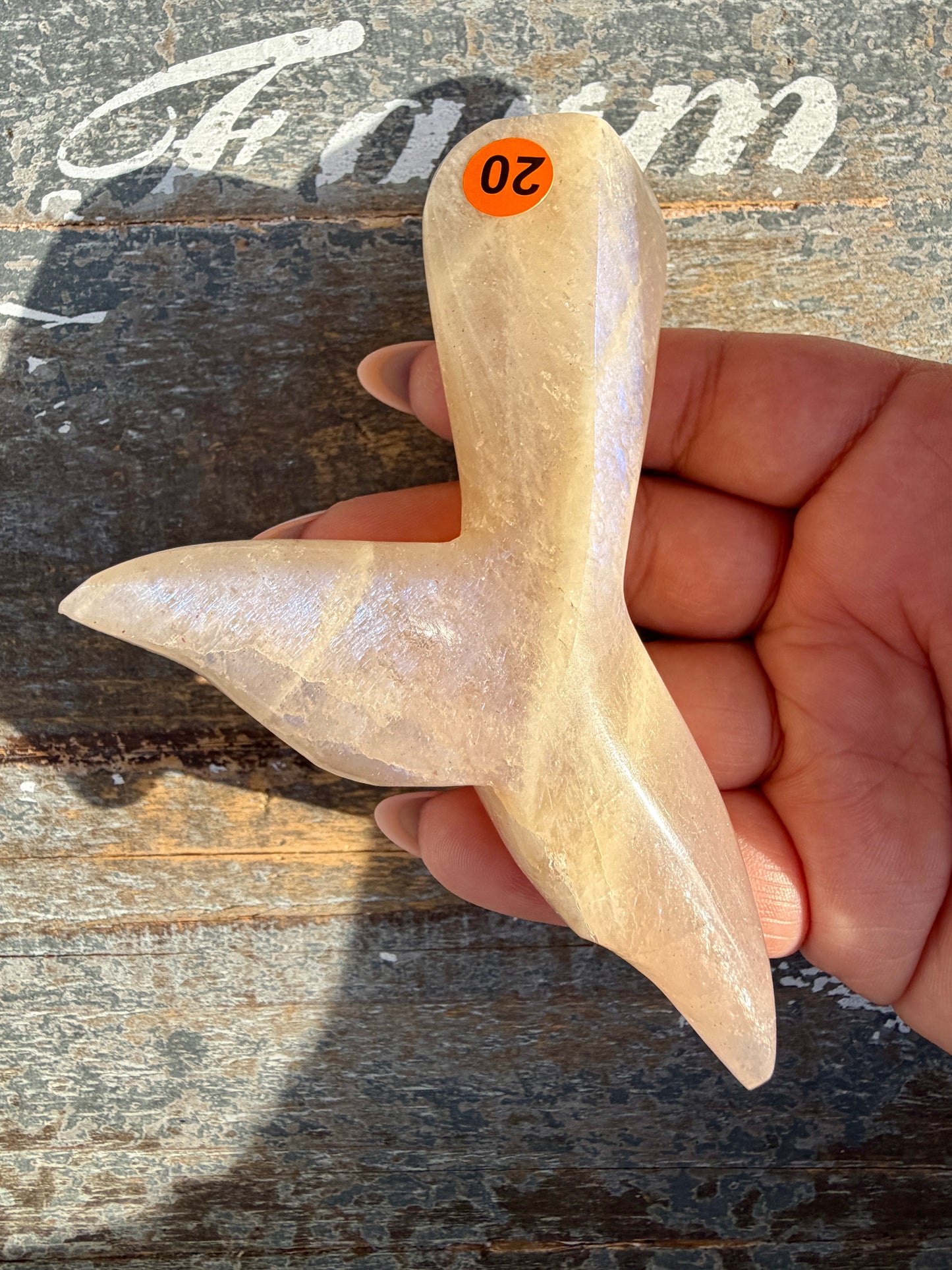 Gorgeous Blue Flash Moonstone Whale Tail | Opt 20