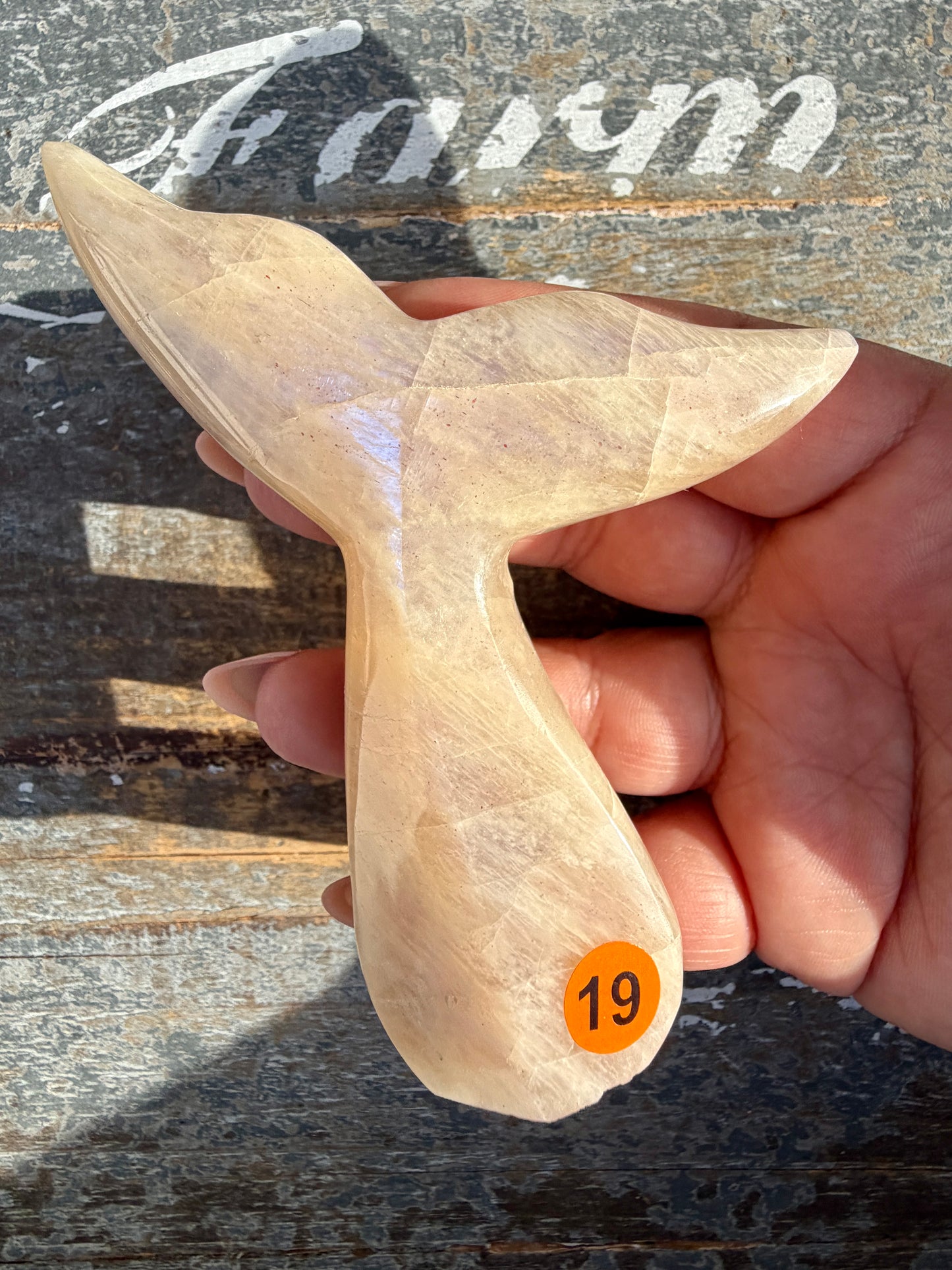 Gorgeous Blue Flash Moonstone Whale Tail | Opt 19