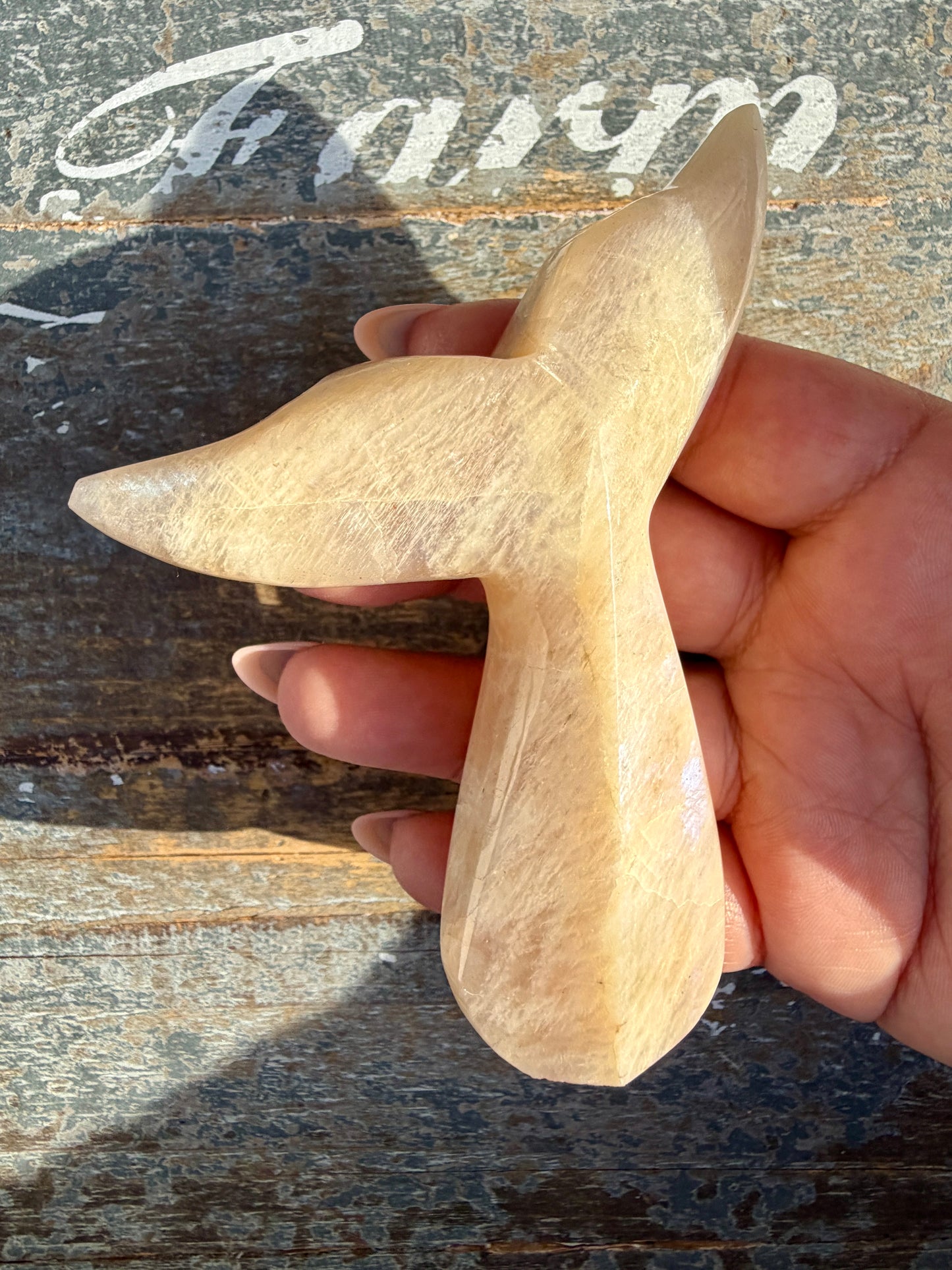 Gorgeous Blue Flash Moonstone Whale Tail | Opt 19