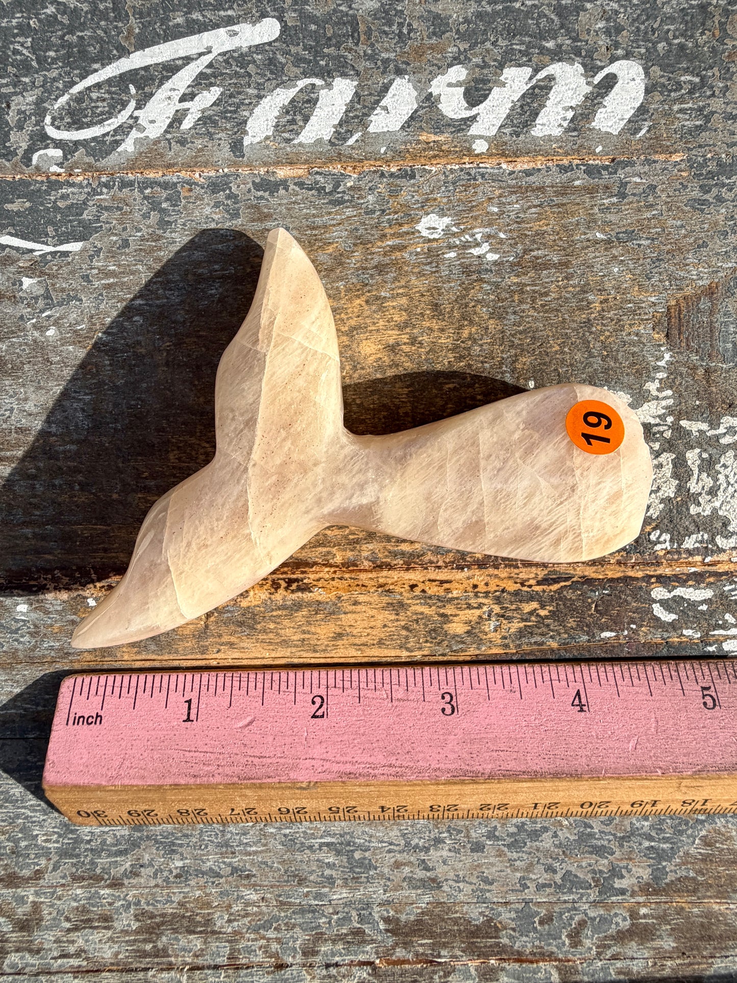 Gorgeous Blue Flash Moonstone Whale Tail | Opt 19