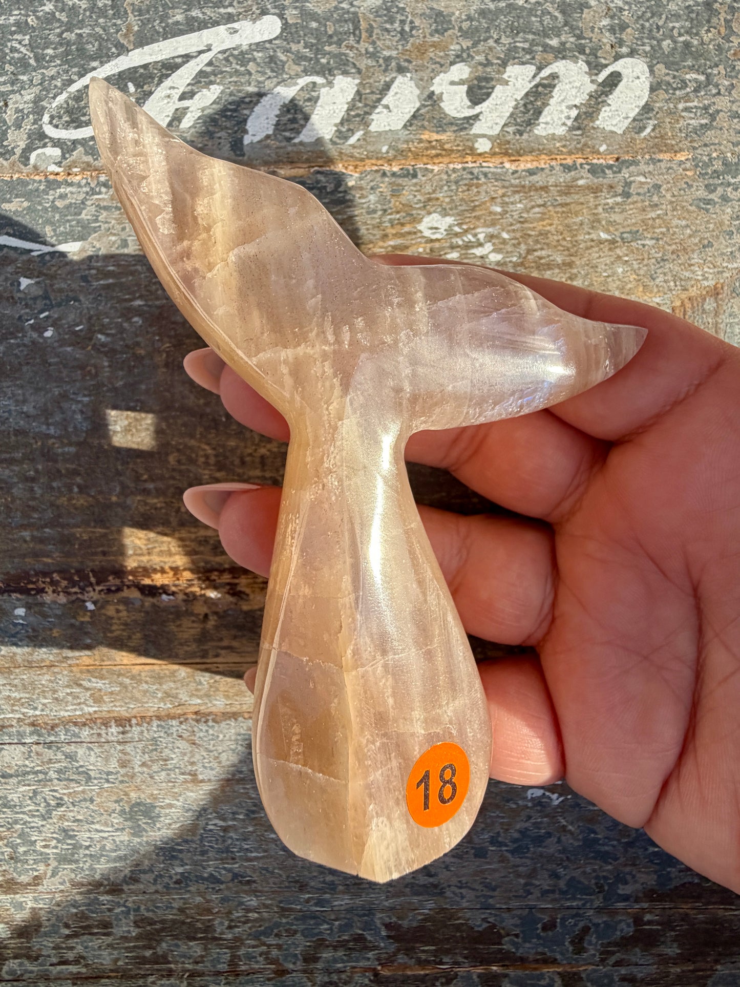 Gorgeous Blue Flash Moonstone Whale Tail | Opt 18