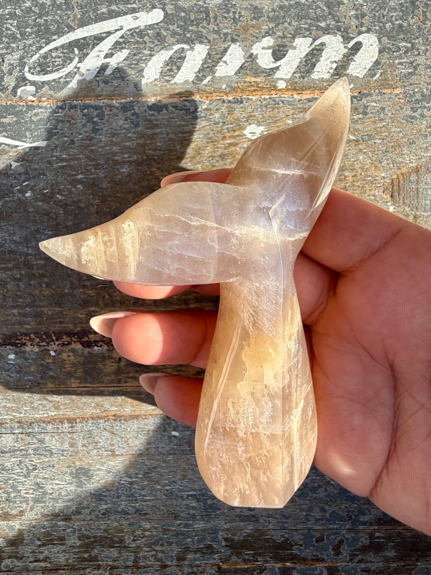 Gorgeous Blue Flash Moonstone Whale Tail | Opt 18