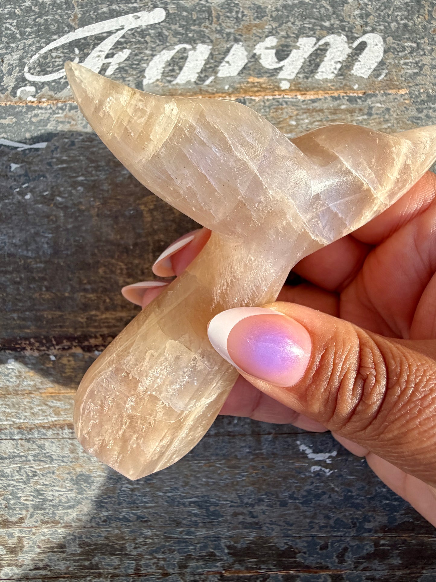Gorgeous Blue Flash Moonstone Whale Tail | Opt 18