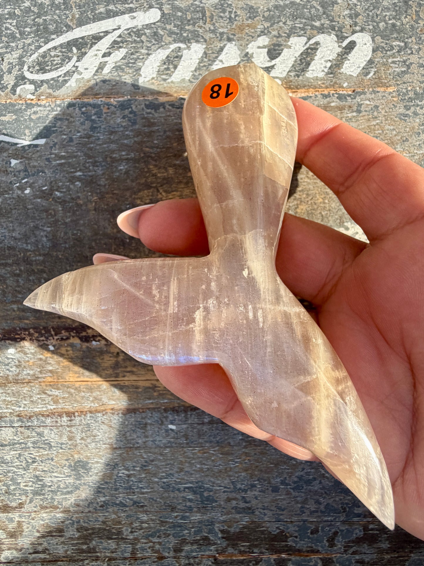 Gorgeous Blue Flash Moonstone Whale Tail | Opt 18