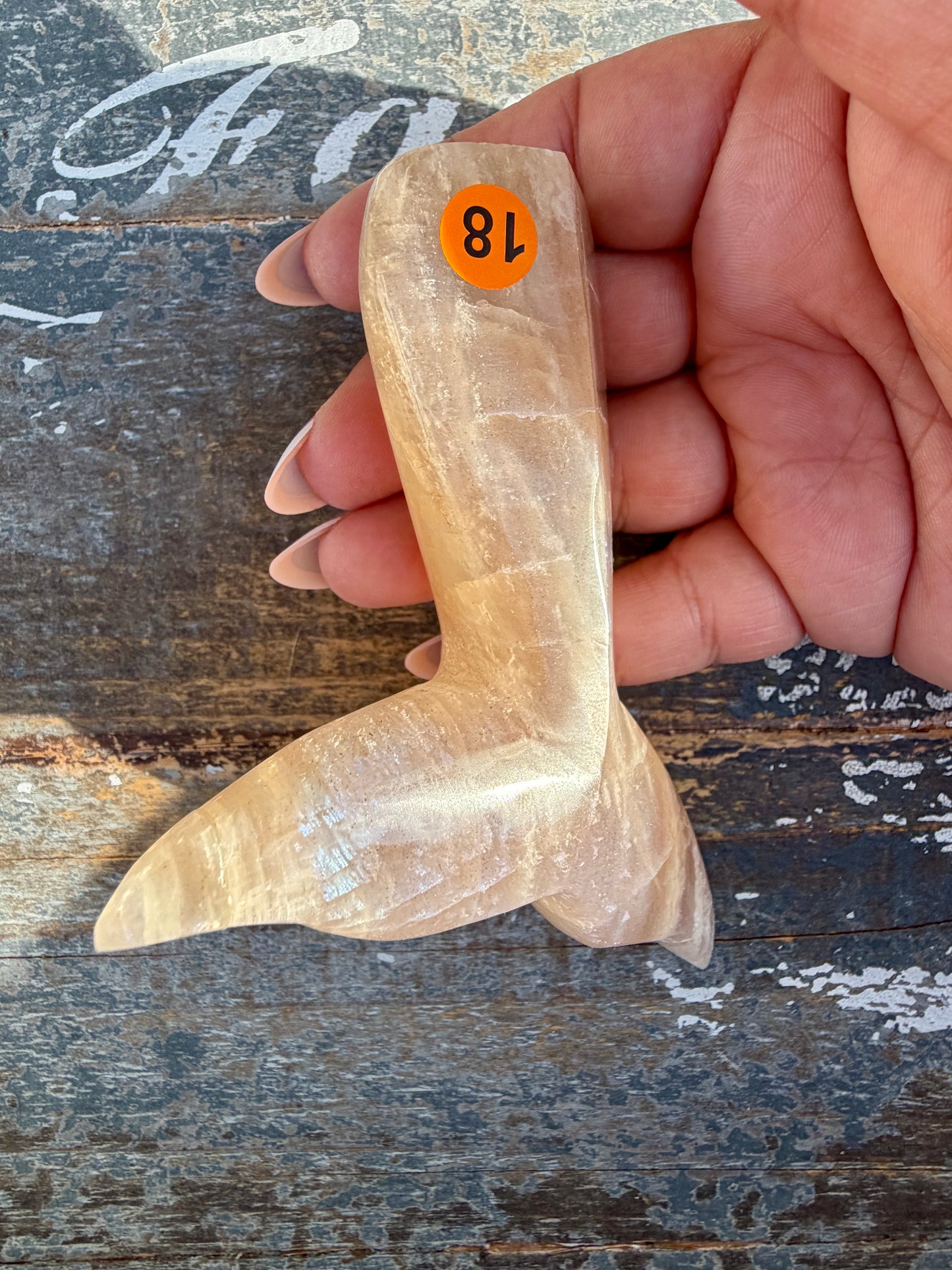 Gorgeous Blue Flash Moonstone Whale Tail | Opt 18