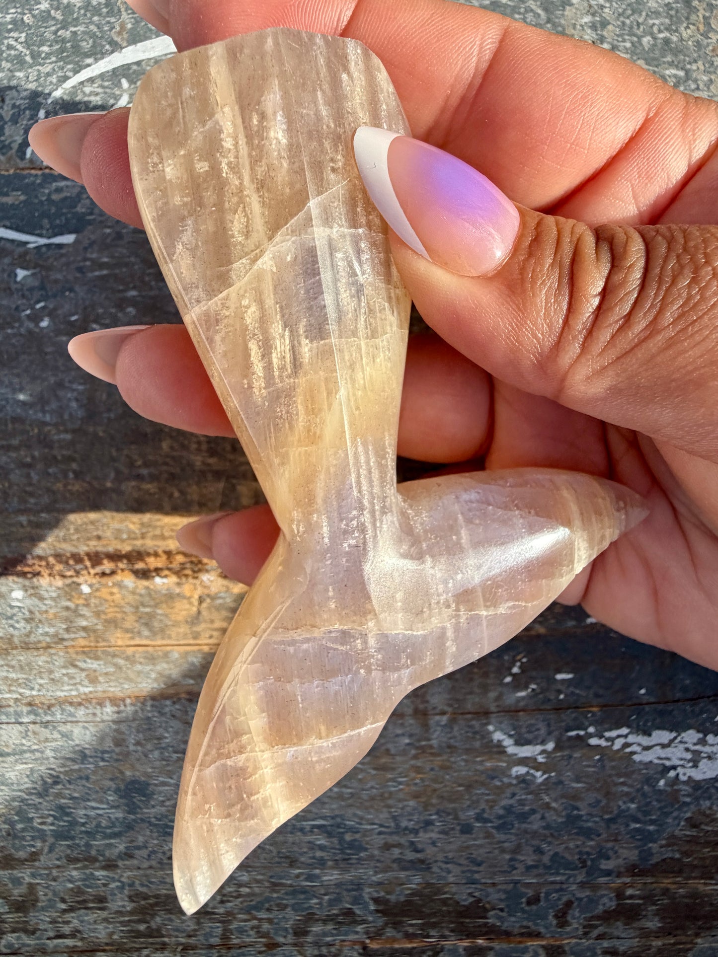Gorgeous Blue Flash Moonstone Whale Tail | Opt 18