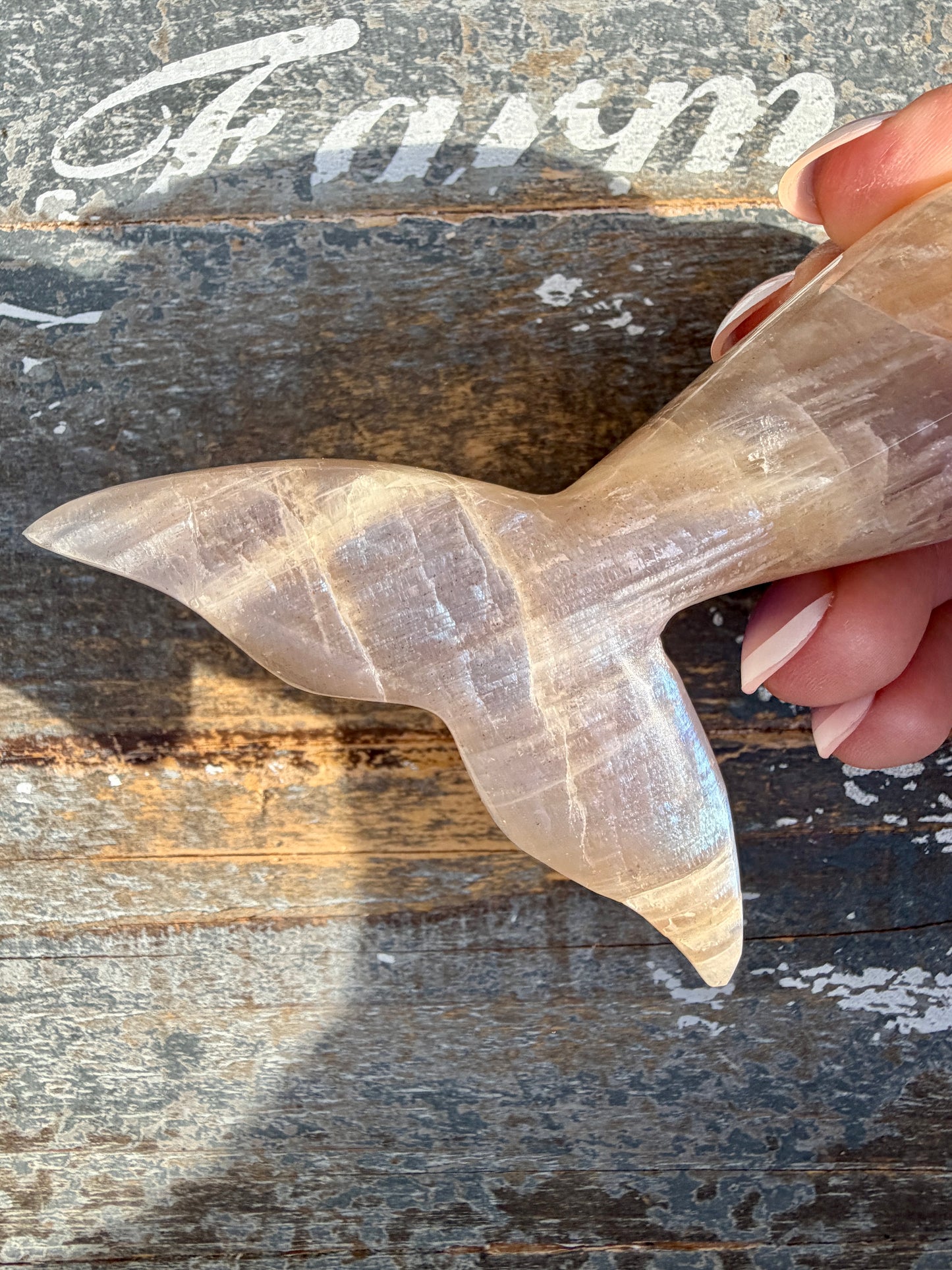 Gorgeous Blue Flash Moonstone Whale Tail | Opt 18