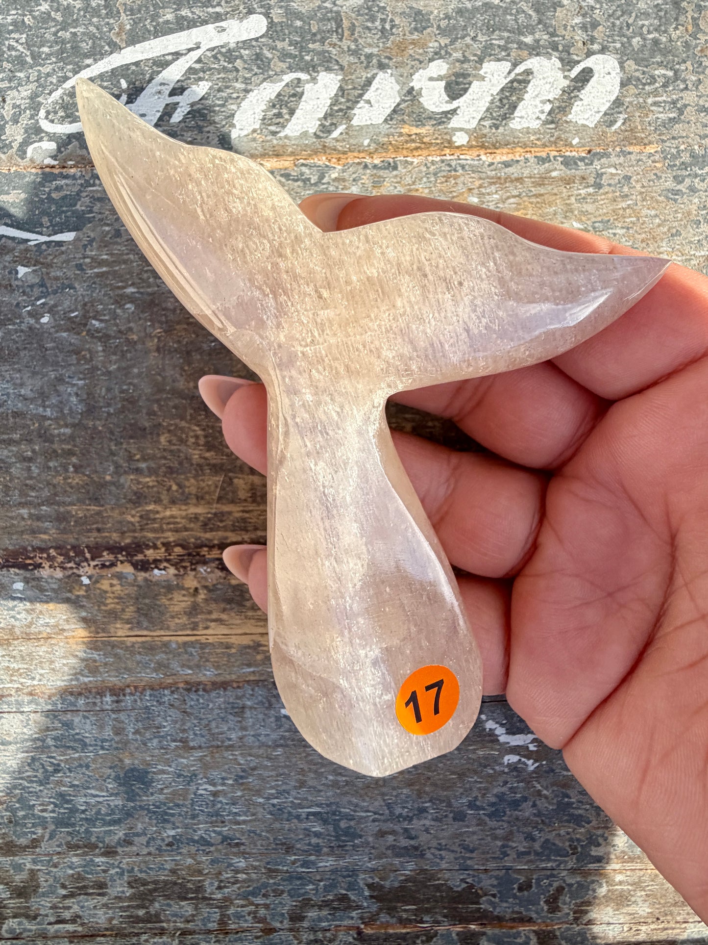 Gorgeous Blue Flash Moonstone Whale Tail | Opt 17