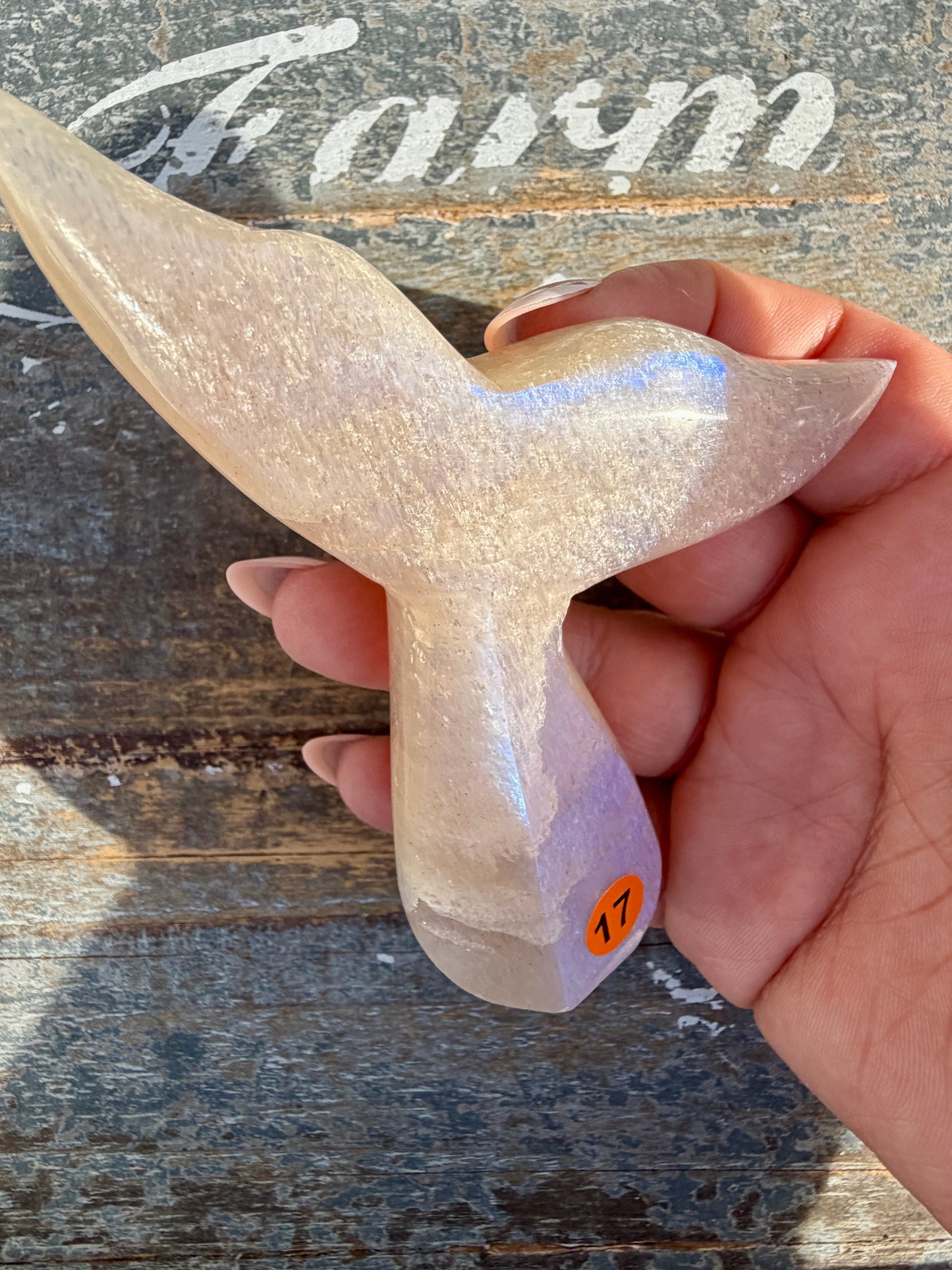 Gorgeous Blue Flash Moonstone Whale Tail | Opt 17
