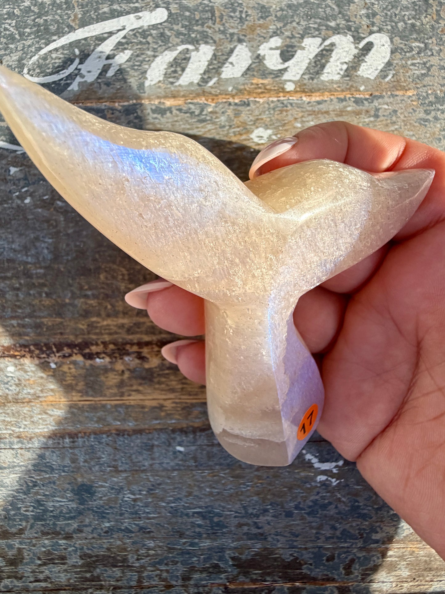 Gorgeous Blue Flash Moonstone Whale Tail | Opt 17