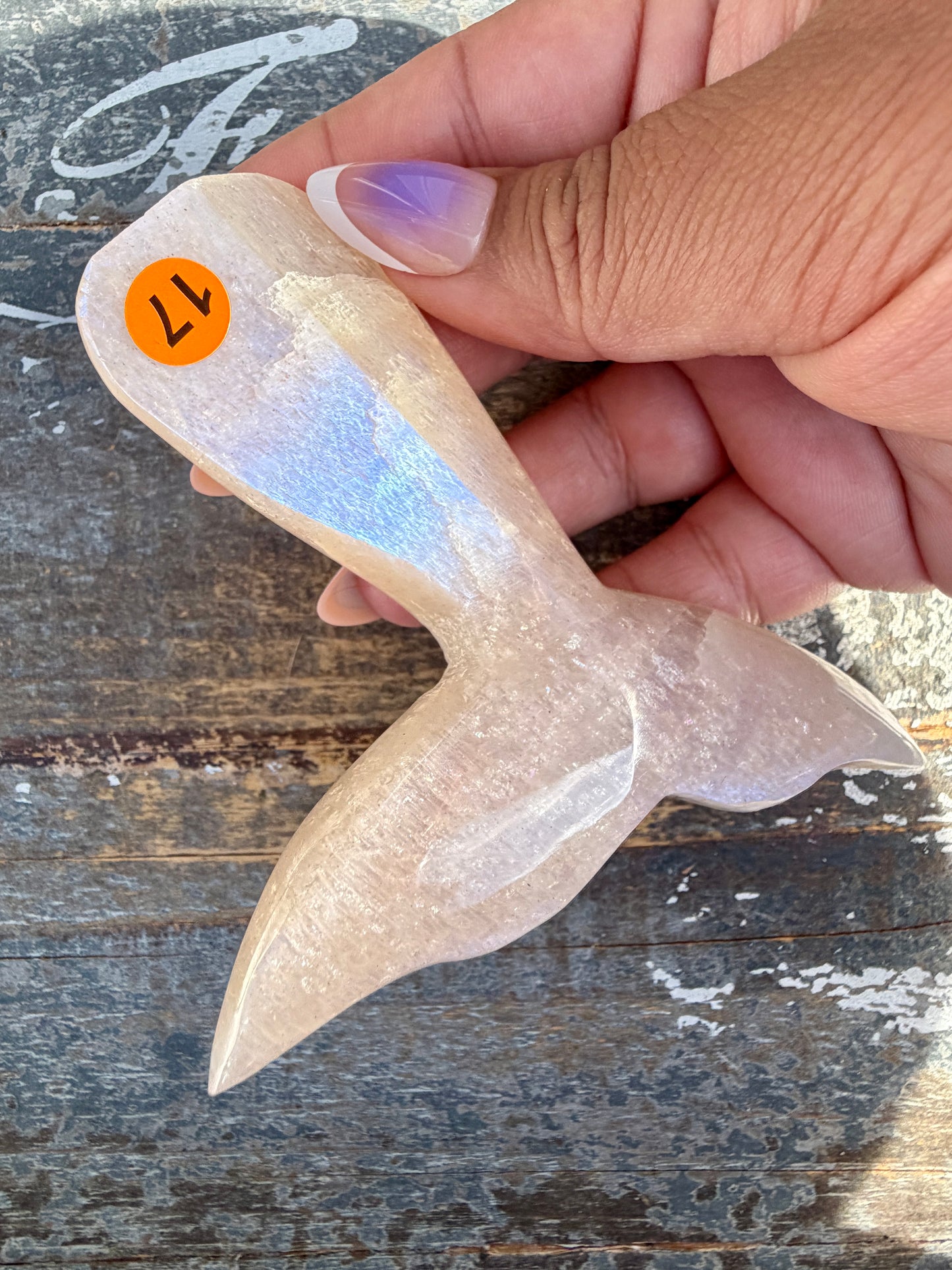 Gorgeous Blue Flash Moonstone Whale Tail | Opt 17