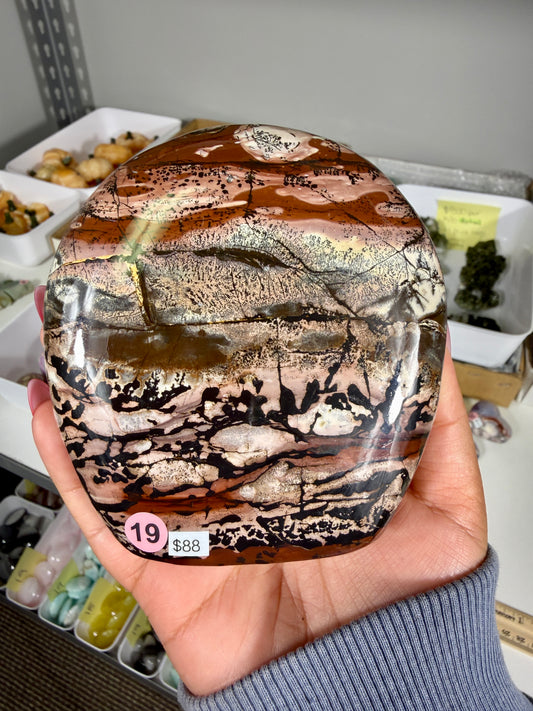 Gorgeous Picture Jasper Freeform | Opt 19