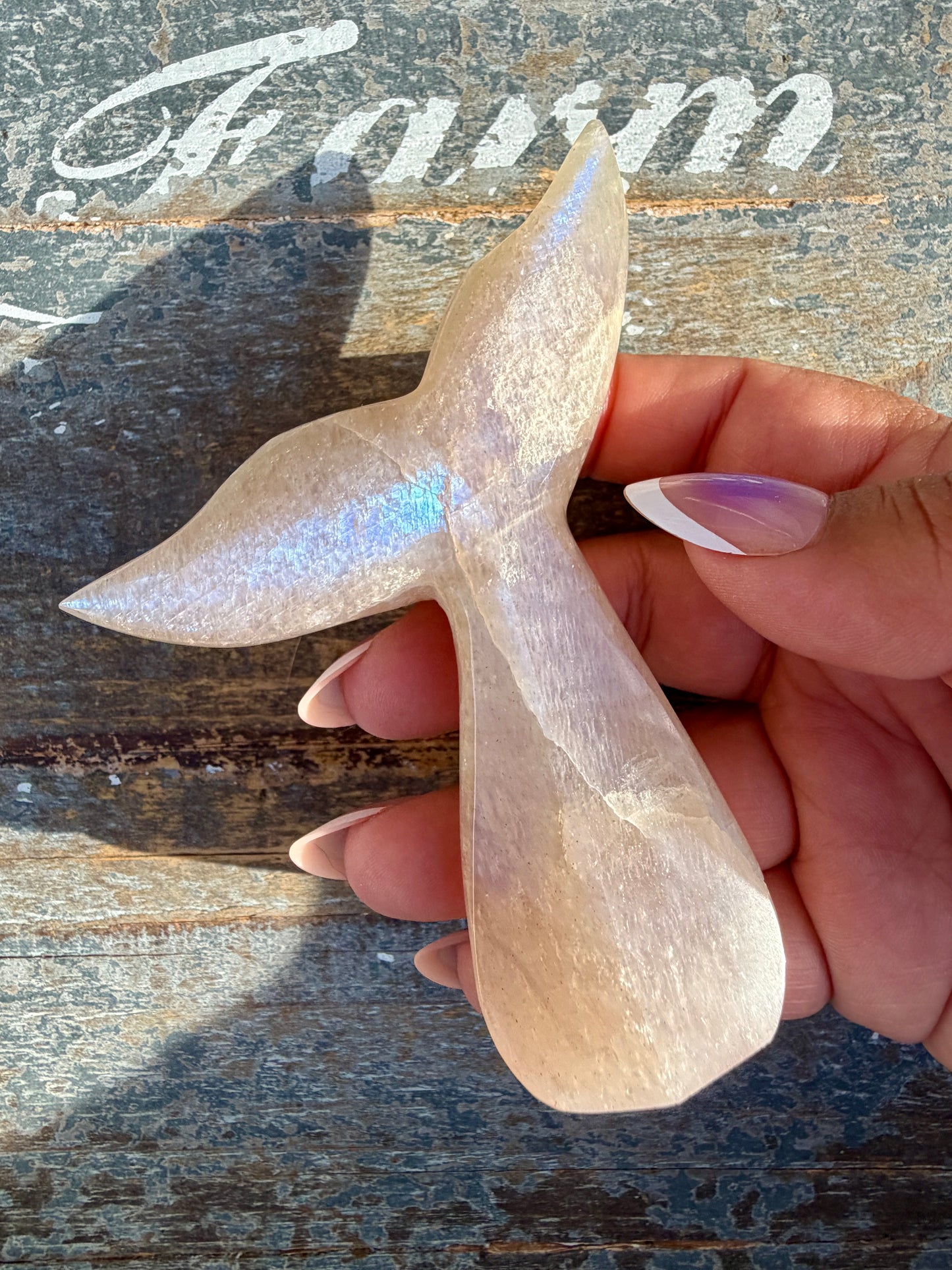 Gorgeous Blue Flash Moonstone Whale Tail | Opt 17