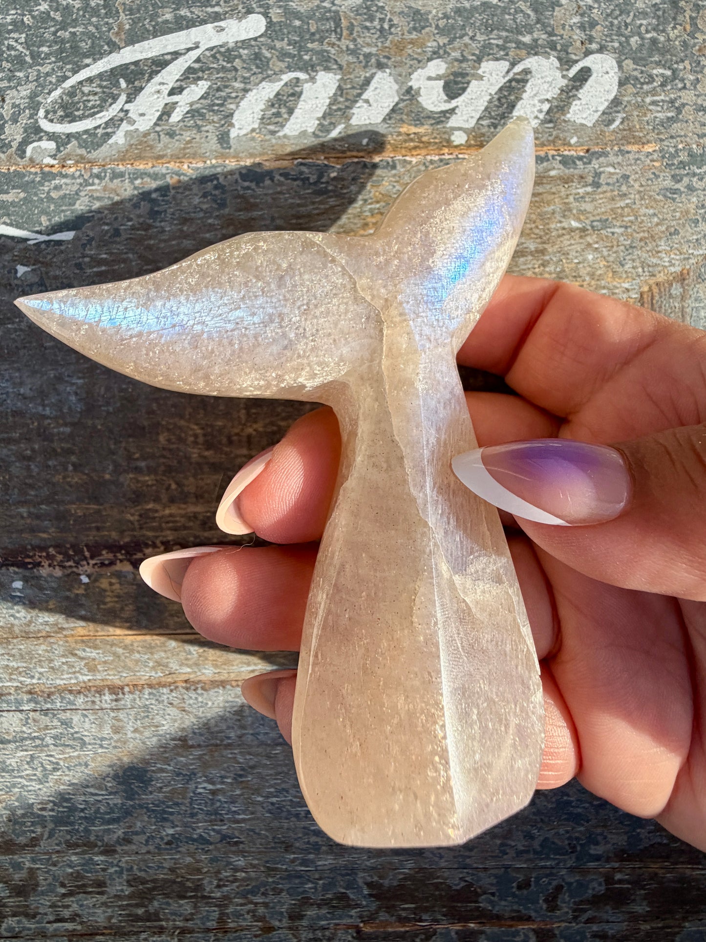 Gorgeous Blue Flash Moonstone Whale Tail | Opt 17