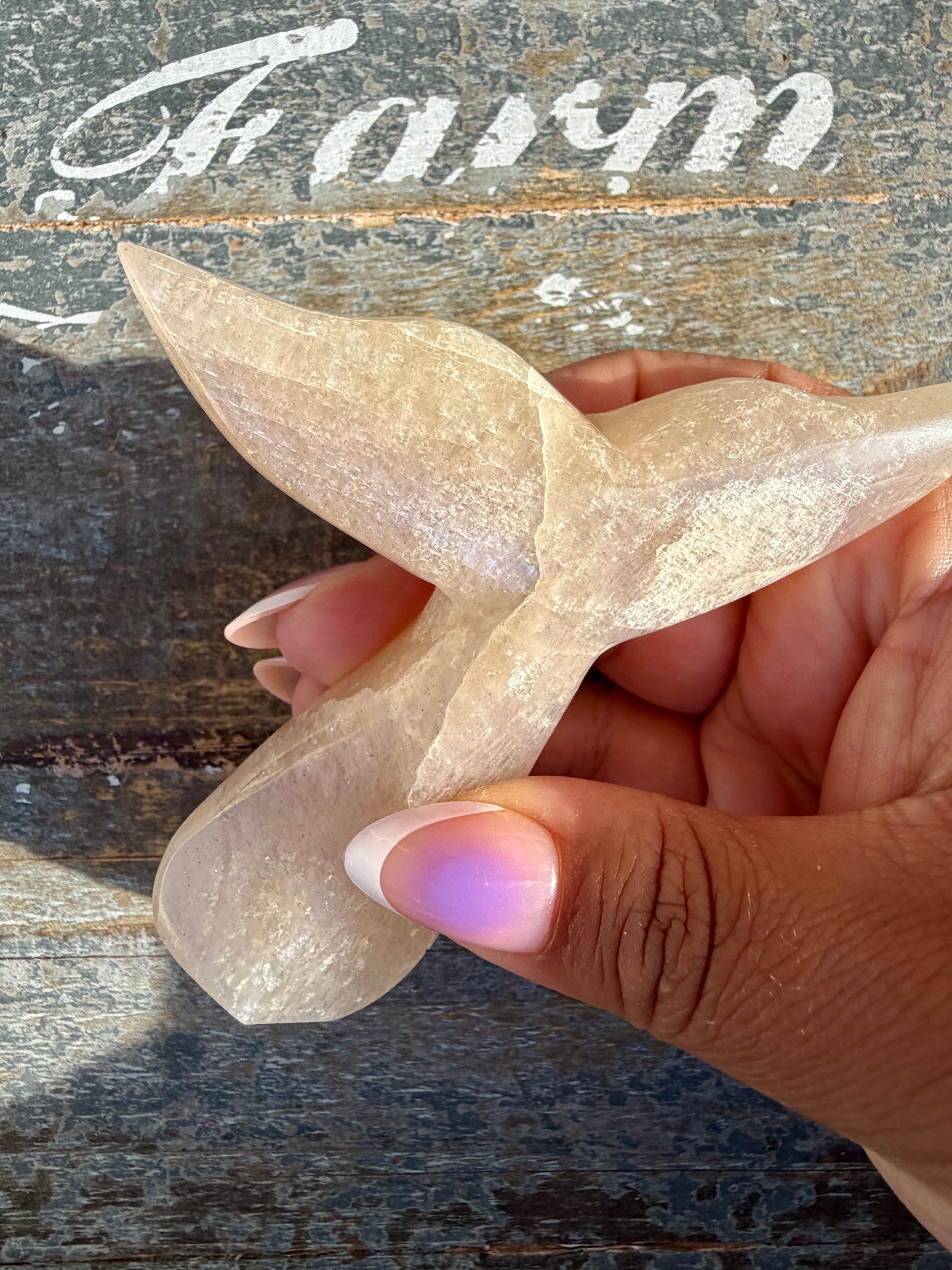 Gorgeous Blue Flash Moonstone Whale Tail | Opt 17
