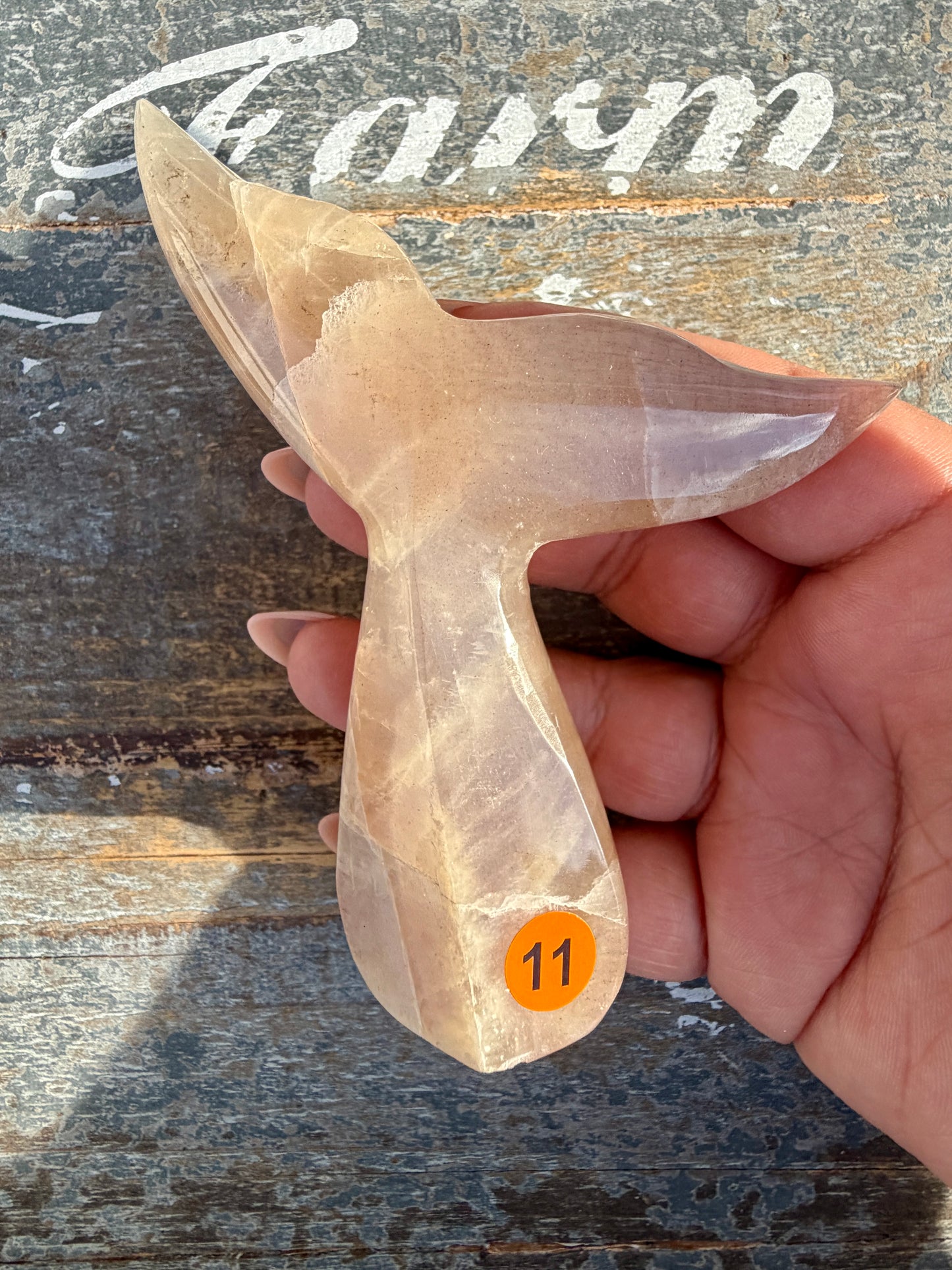Gorgeous Blue Flash Moonstone Whale Tail | Opt 11