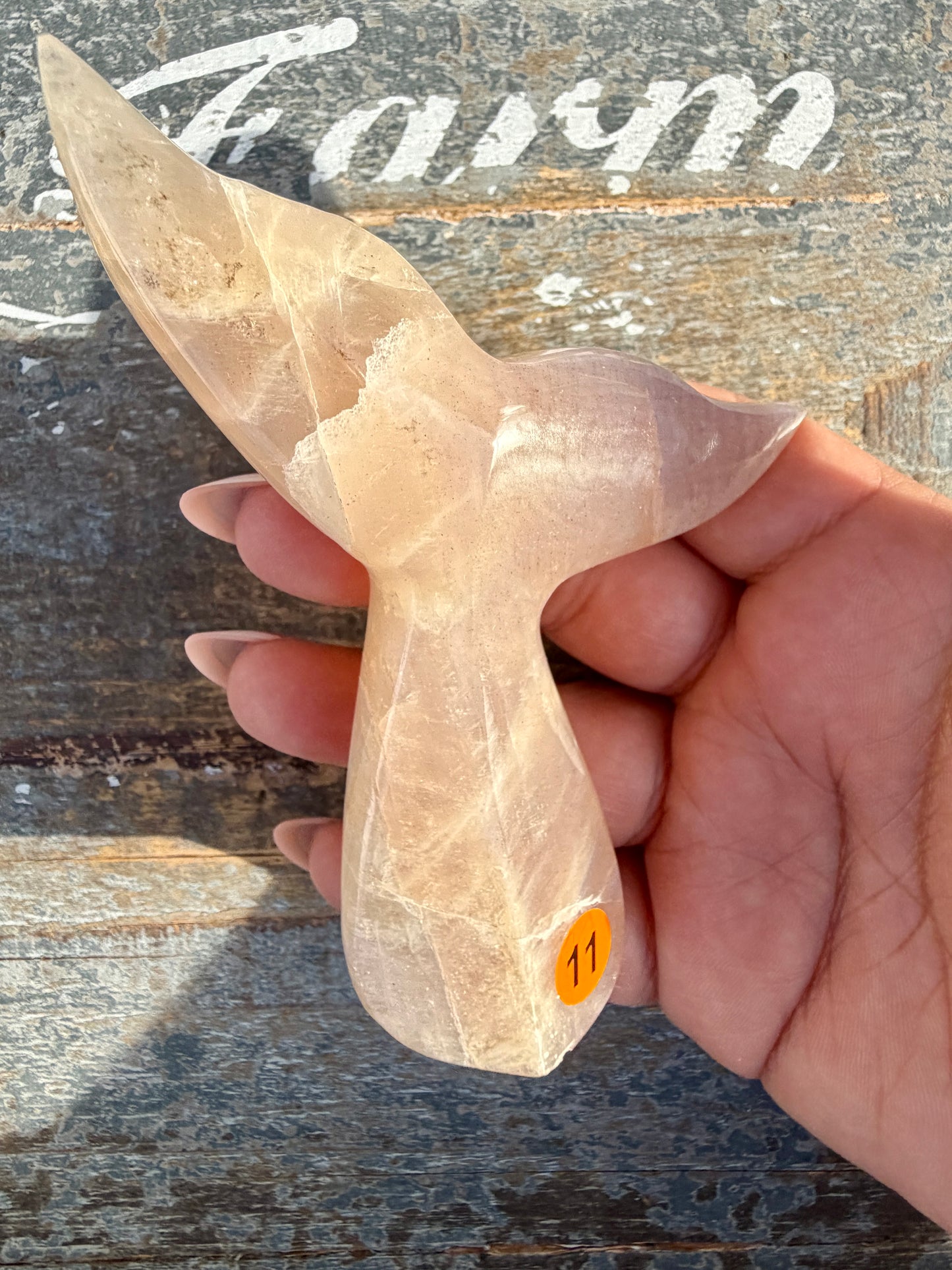 Gorgeous Blue Flash Moonstone Whale Tail | Opt 11