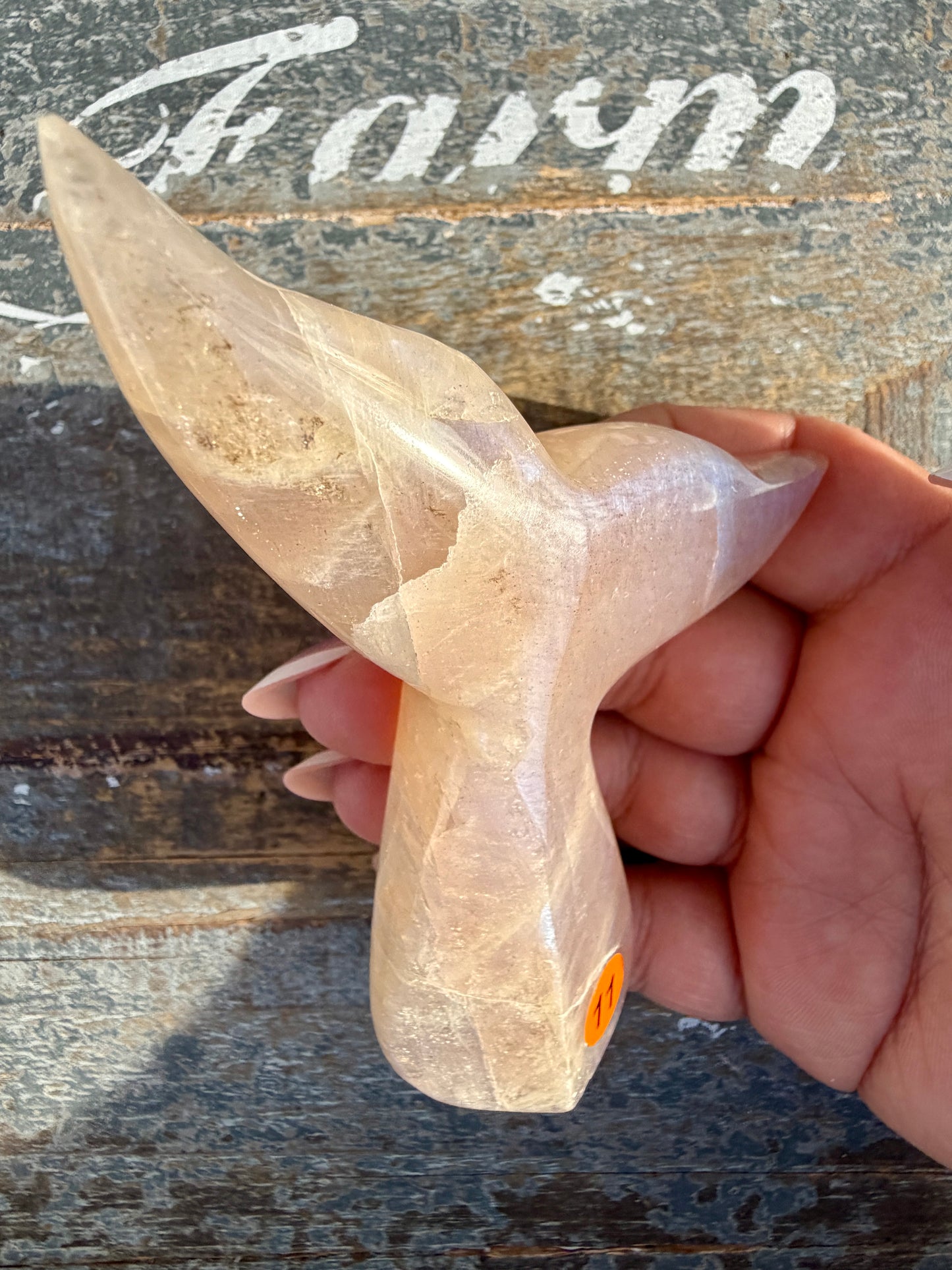 Gorgeous Blue Flash Moonstone Whale Tail | Opt 11
