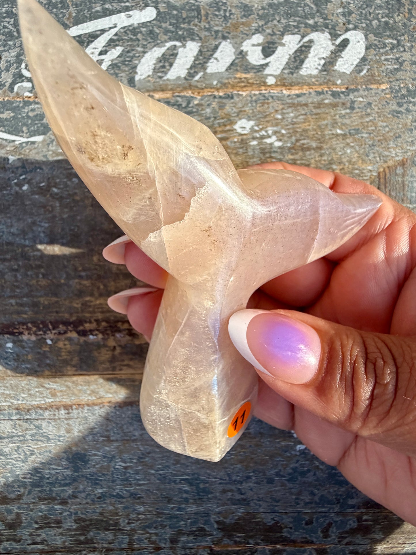 Gorgeous Blue Flash Moonstone Whale Tail | Opt 11