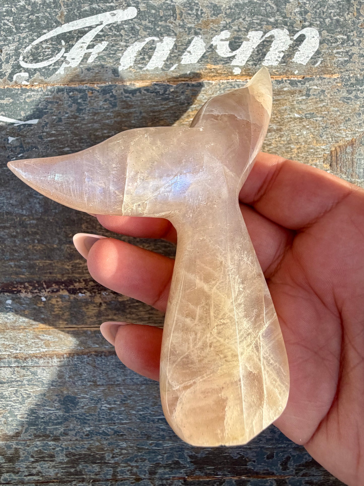 Gorgeous Blue Flash Moonstone Whale Tail | Opt 11