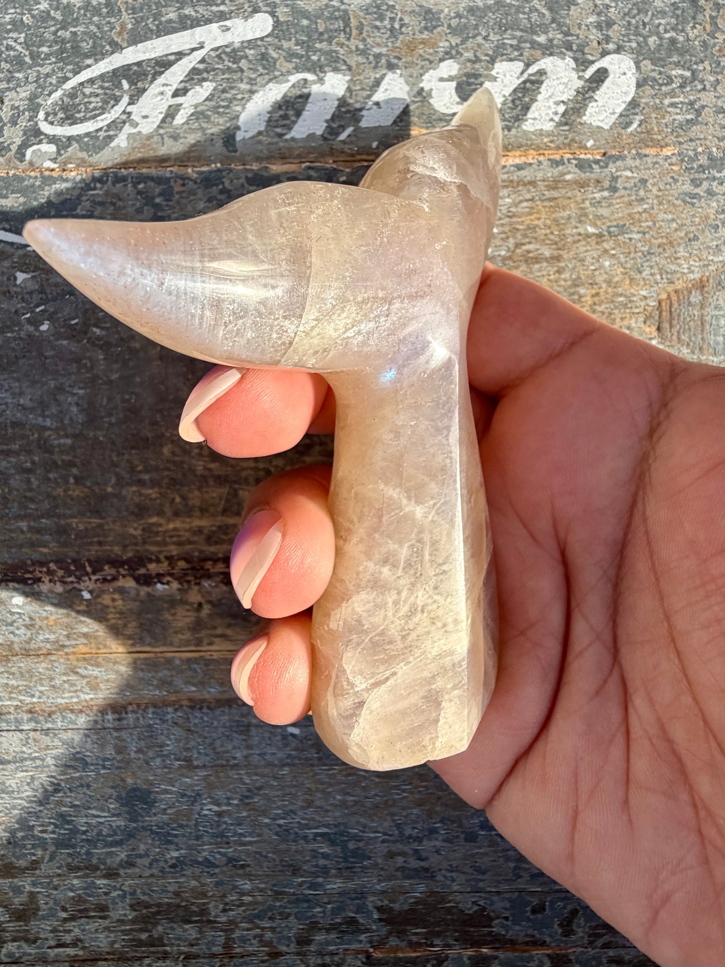 Gorgeous Blue Flash Moonstone Whale Tail | Opt 11