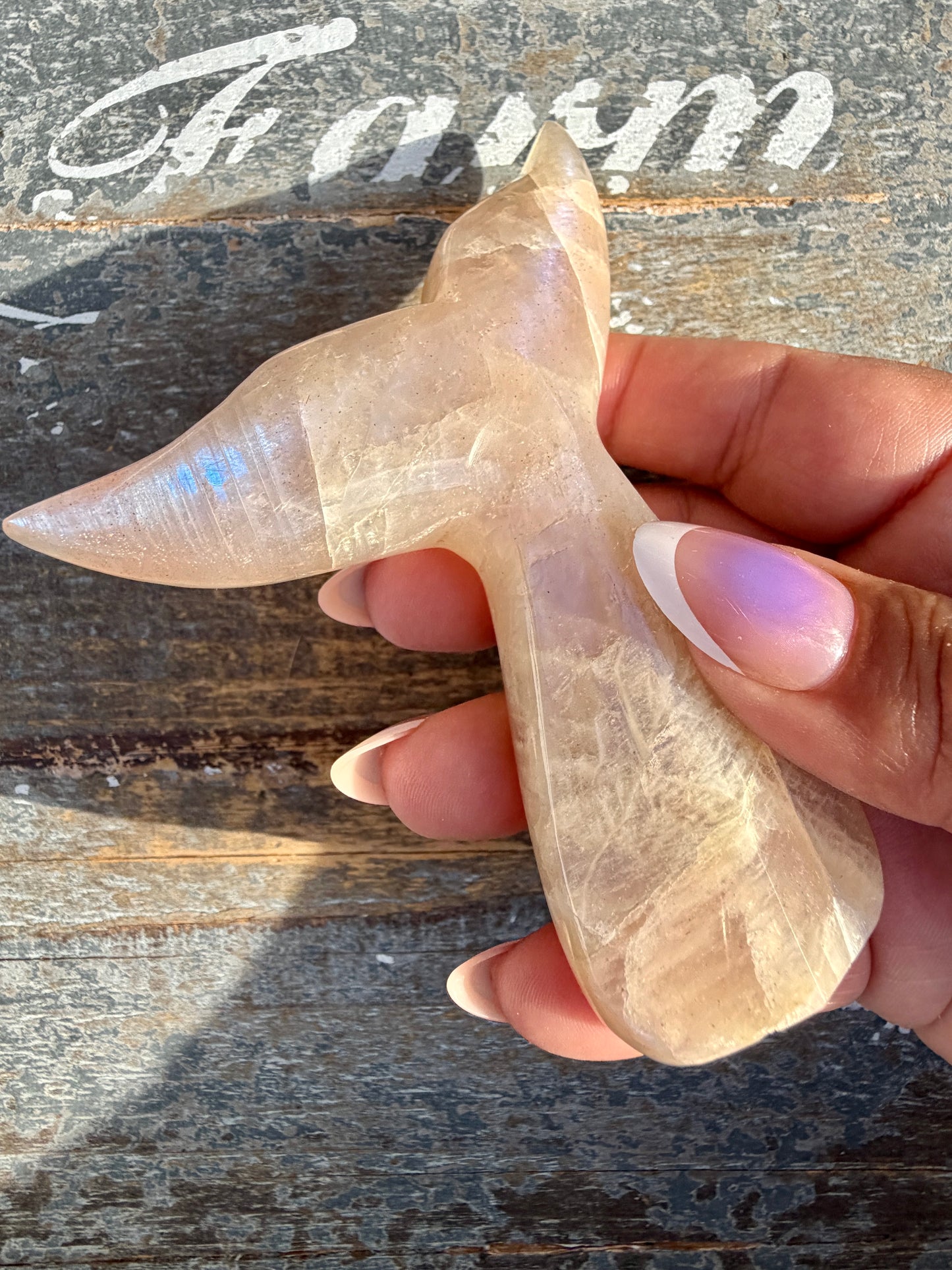 Gorgeous Blue Flash Moonstone Whale Tail | Opt 11