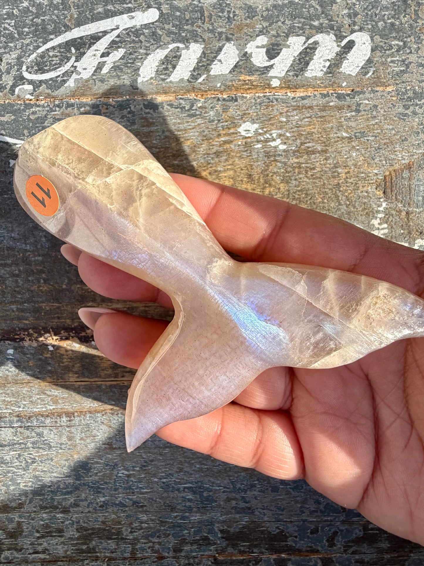 Gorgeous Blue Flash Moonstone Whale Tail | Opt 11