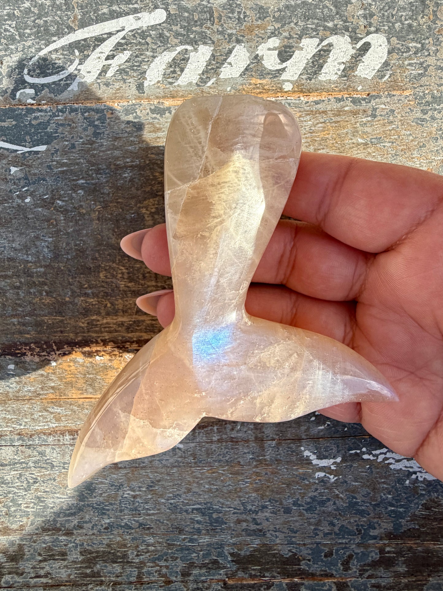 Gorgeous Blue Flash Moonstone Whale Tail | Opt 11