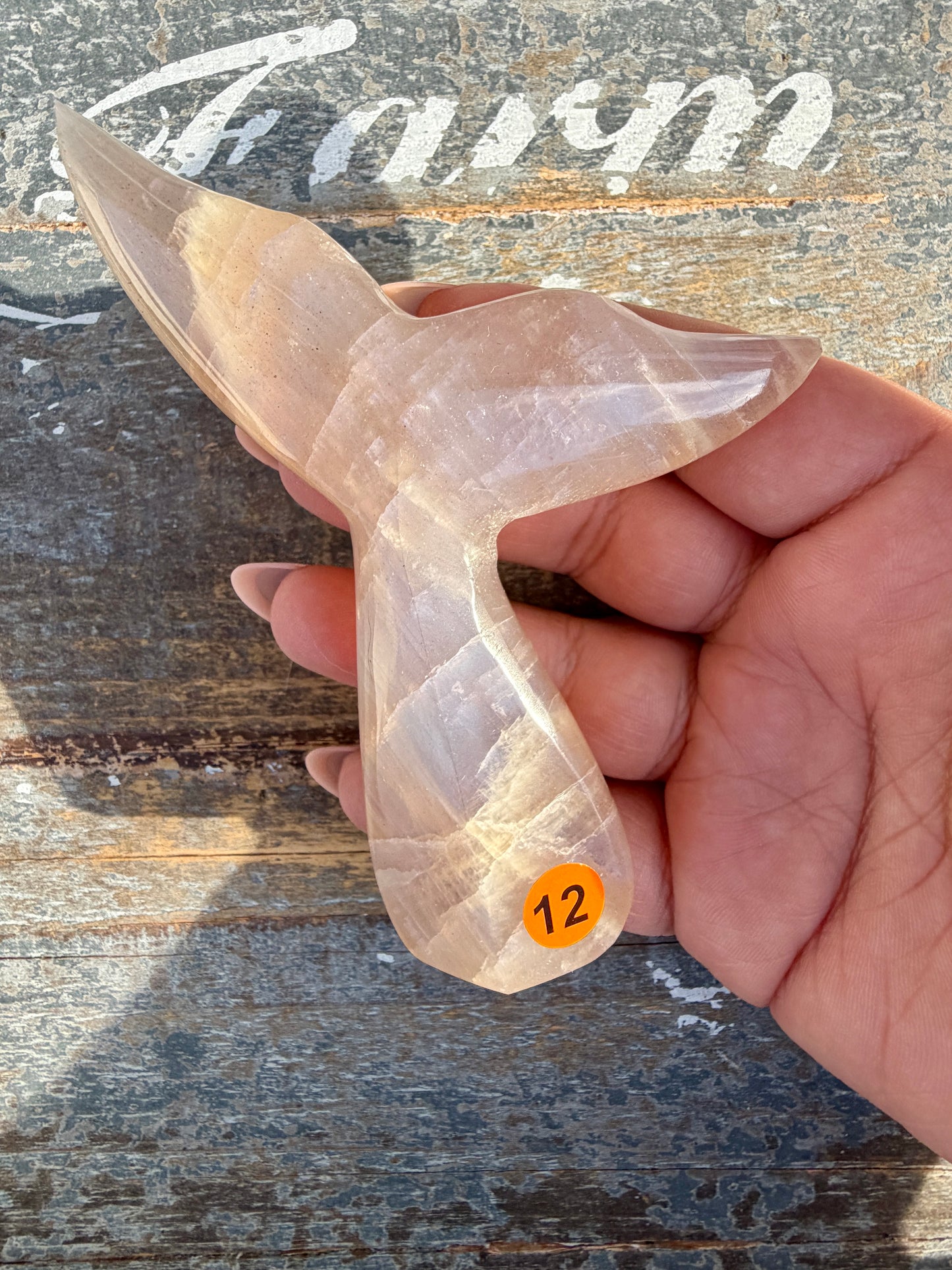 Gorgeous Blue Flash Moonstone Whale Tail | Opt 12
