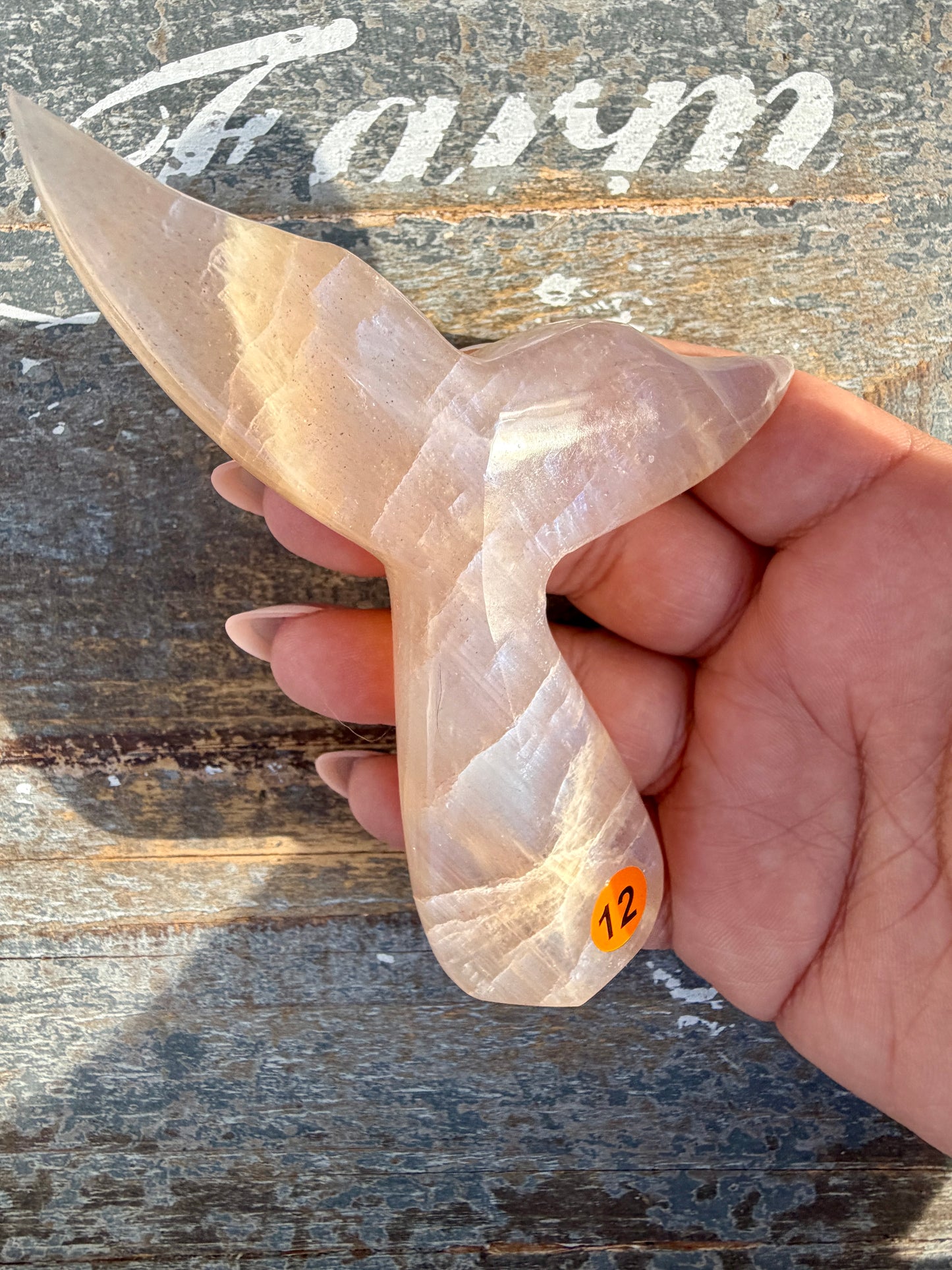 Gorgeous Blue Flash Moonstone Whale Tail | Opt 12