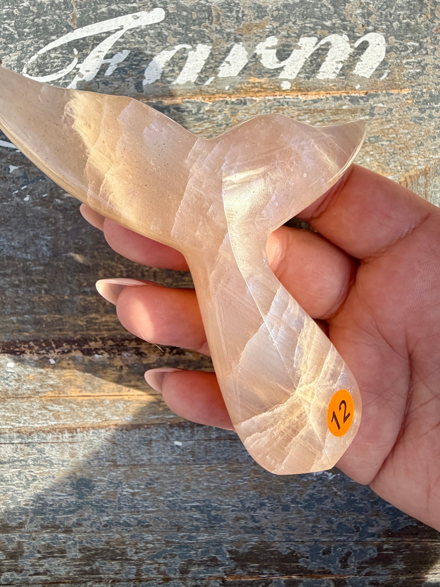 Gorgeous Blue Flash Moonstone Whale Tail | Opt 12