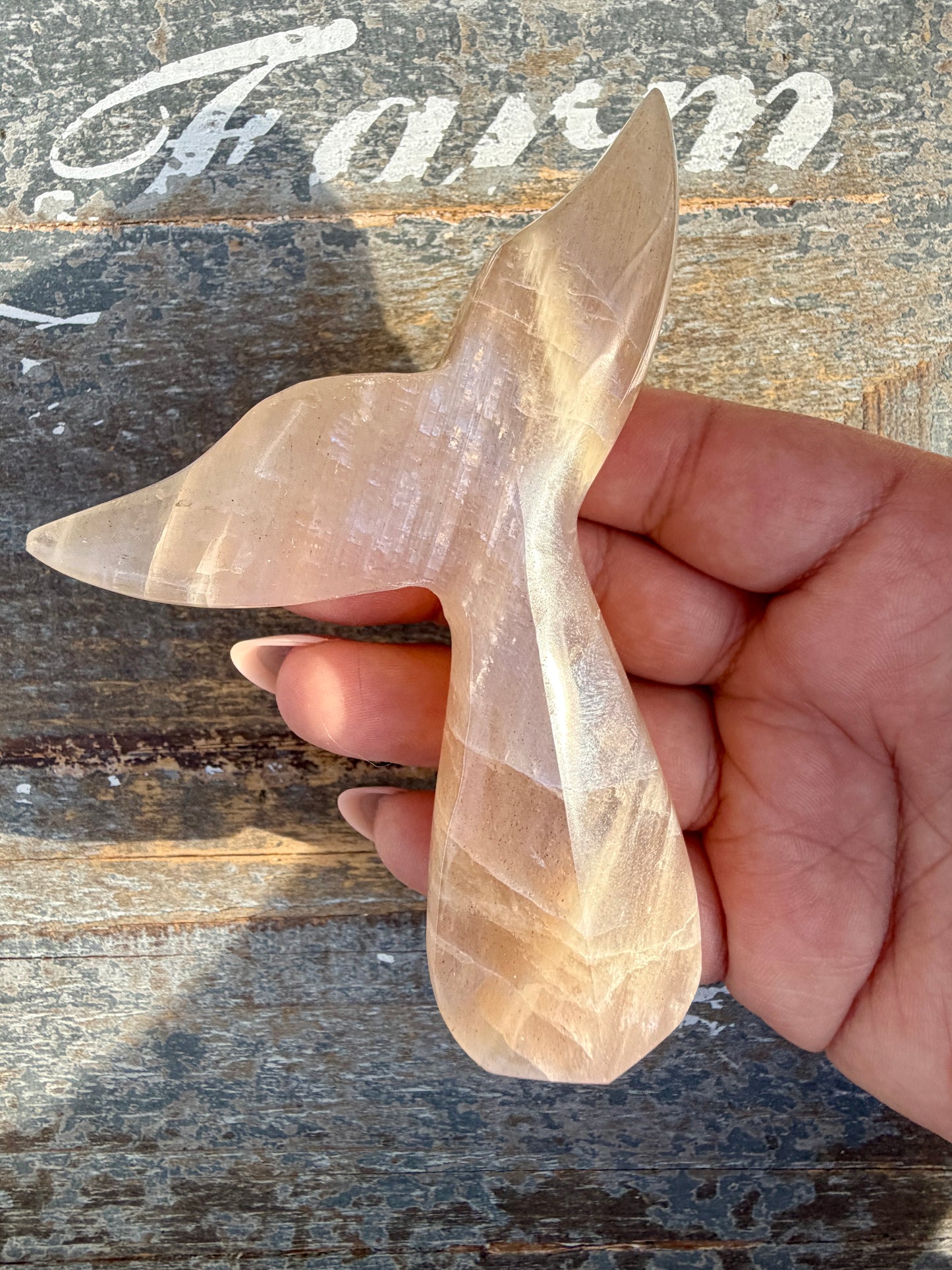 Gorgeous Blue Flash Moonstone Whale Tail | Opt 12