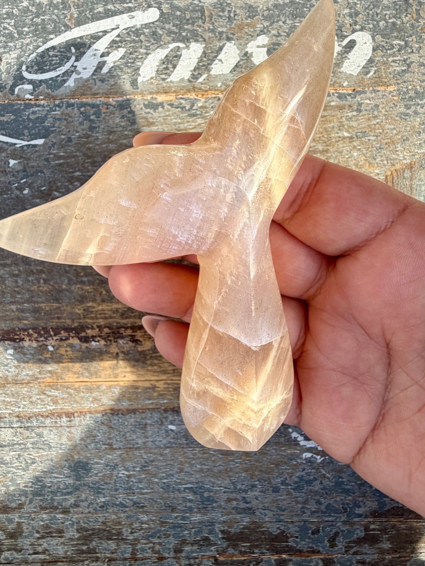 Gorgeous Blue Flash Moonstone Whale Tail | Opt 12