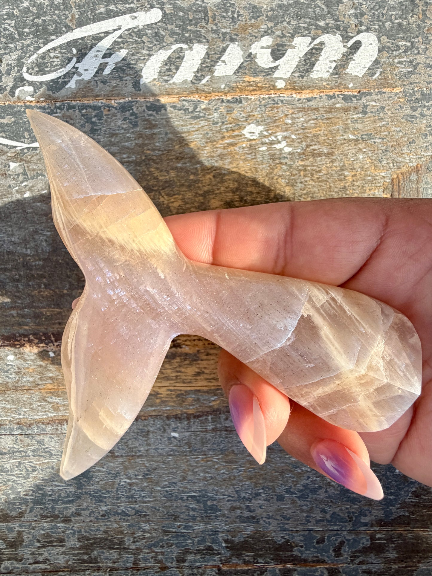 Gorgeous Blue Flash Moonstone Whale Tail | Opt 12