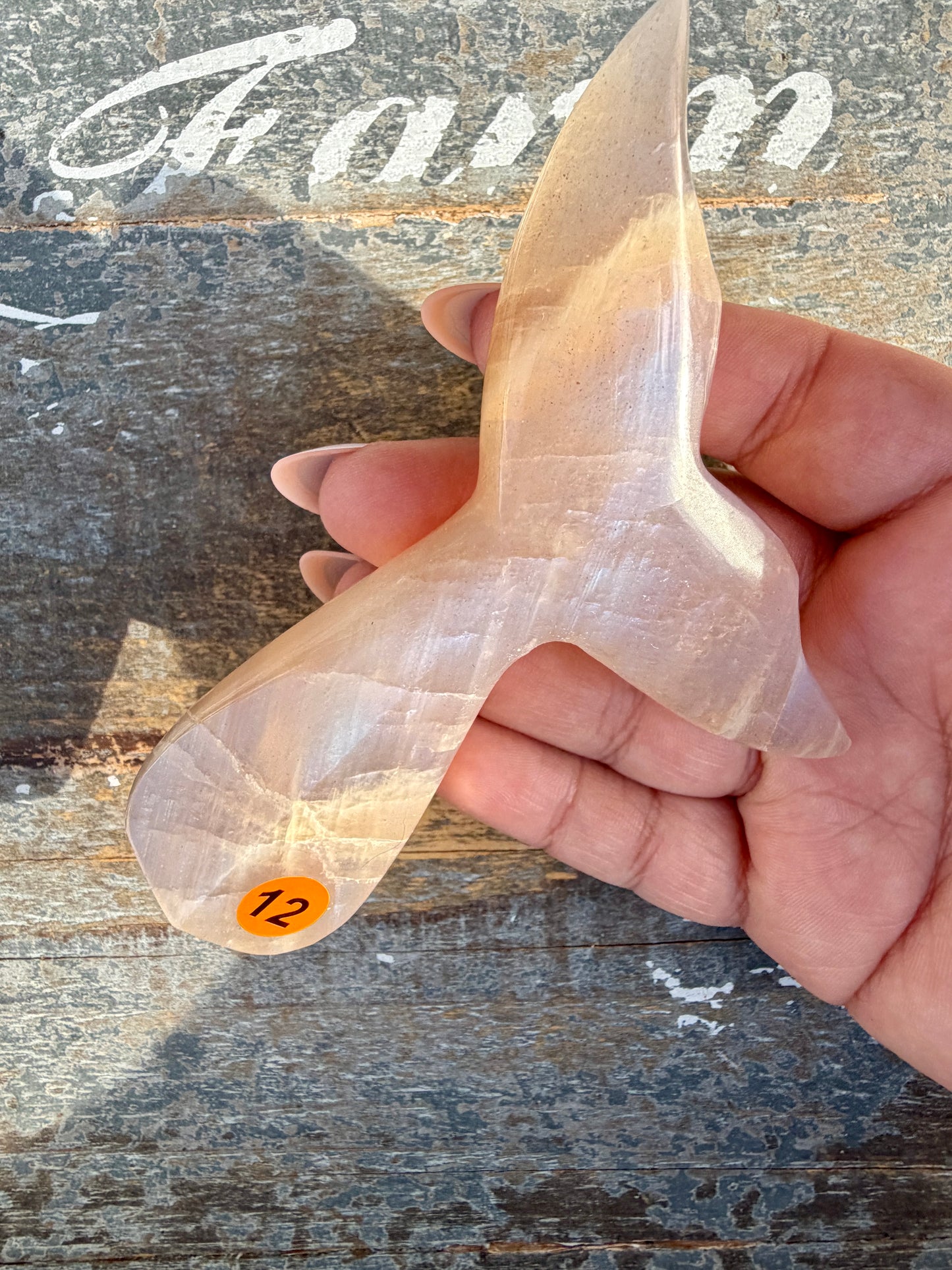 Gorgeous Blue Flash Moonstone Whale Tail | Opt 12