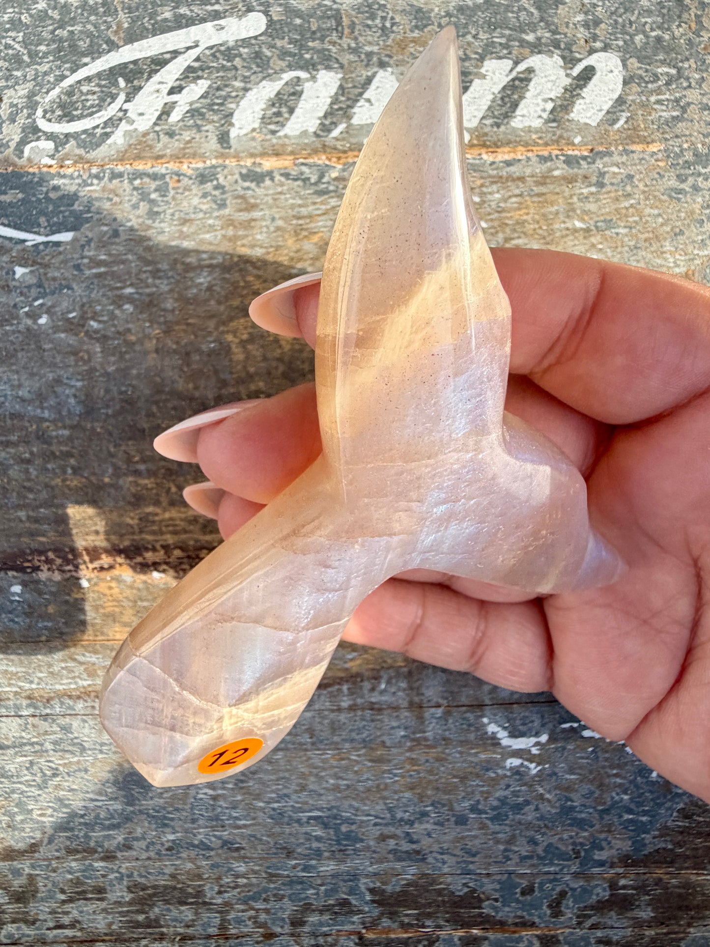 Gorgeous Blue Flash Moonstone Whale Tail | Opt 12