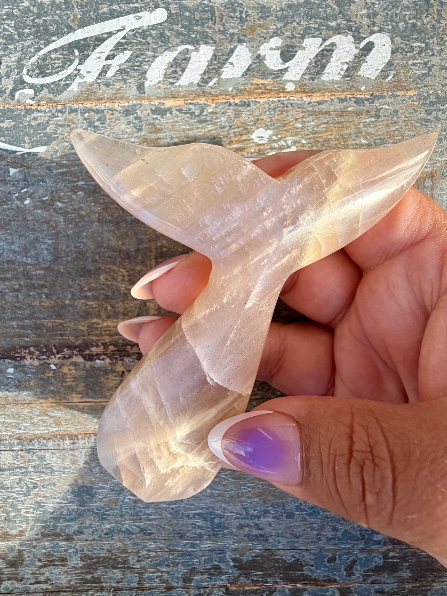 Gorgeous Blue Flash Moonstone Whale Tail | Opt 12