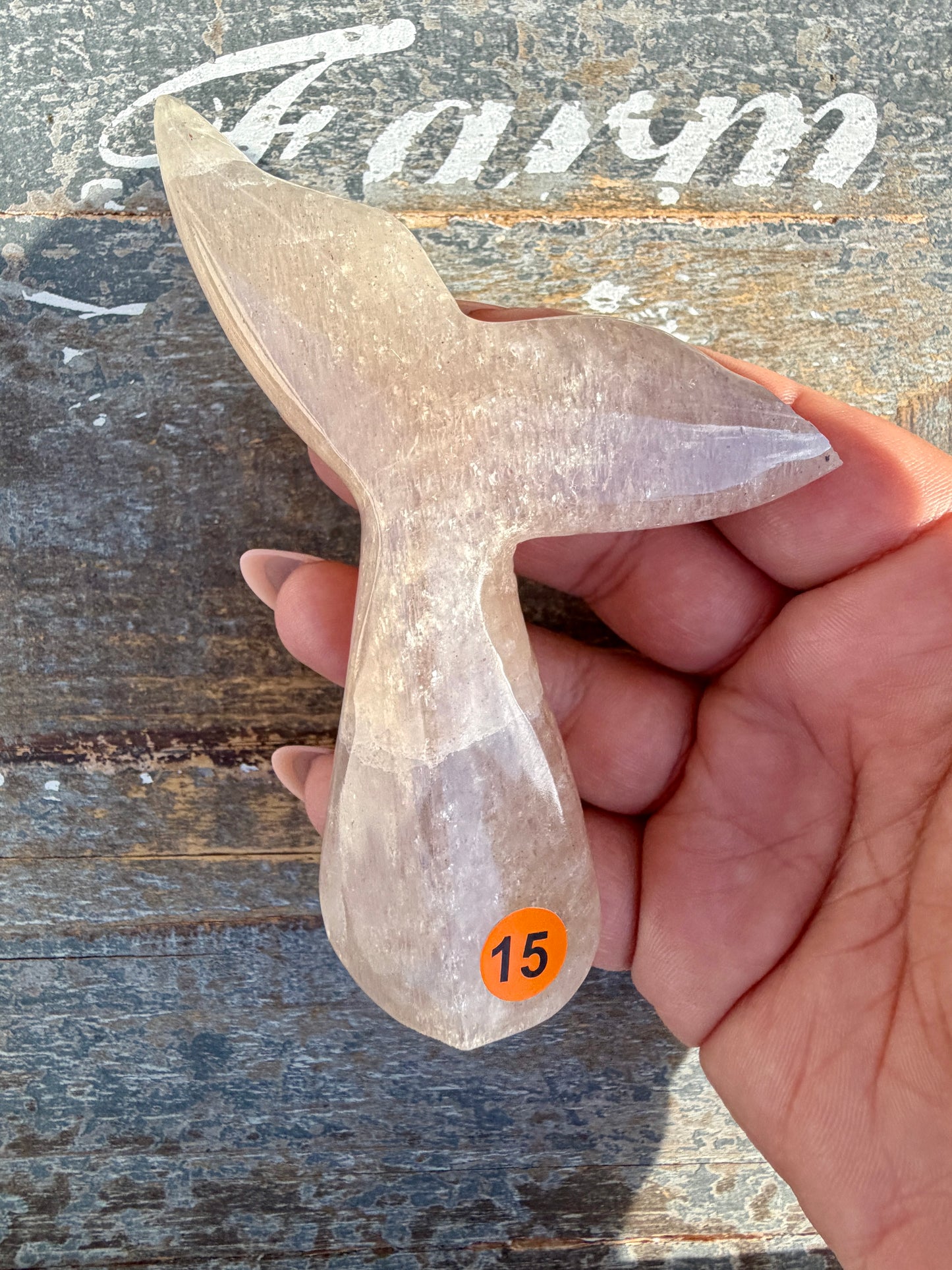 Gorgeous Blue Flash Moonstone Whale Tail | Opt 15