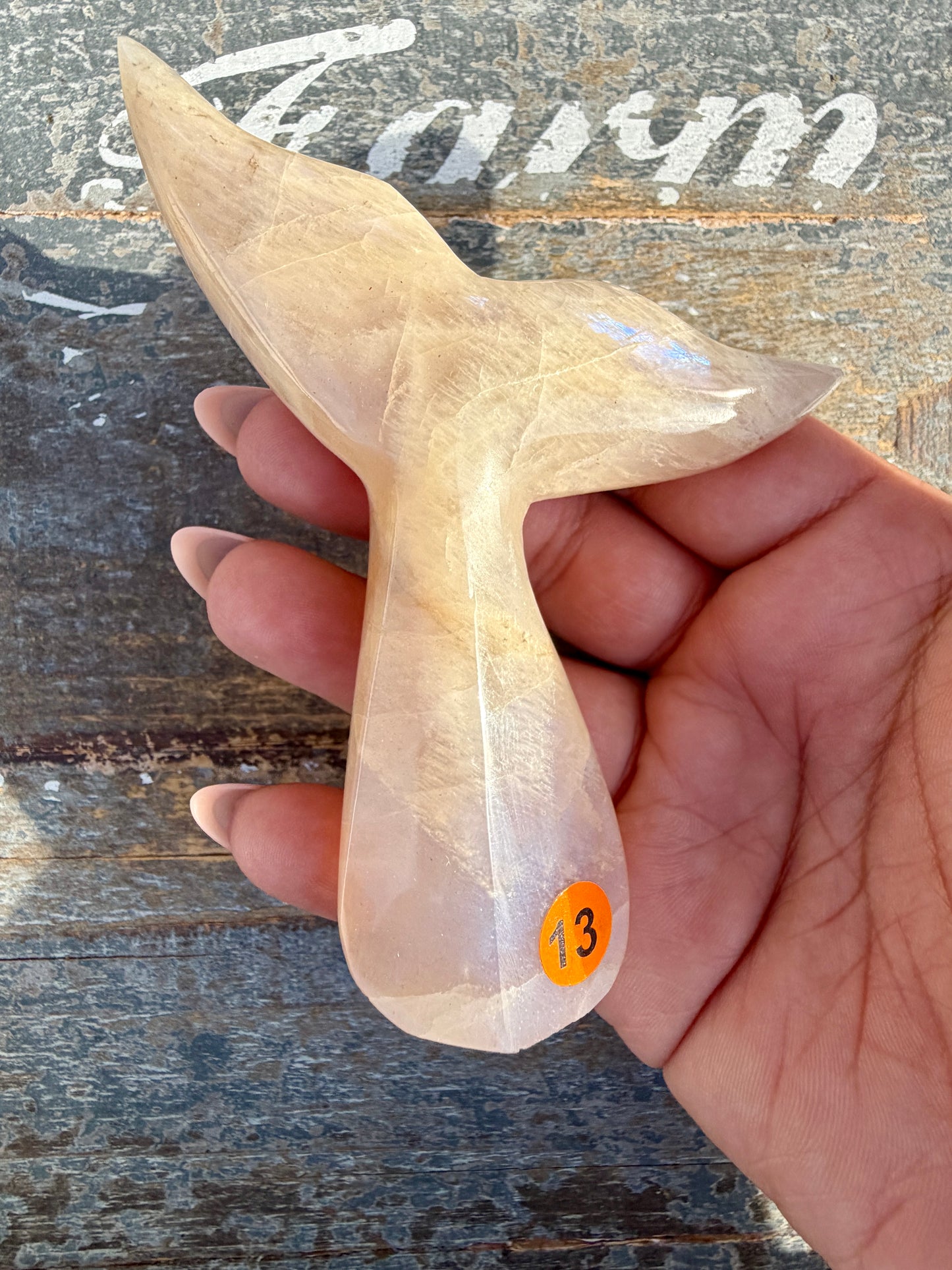 Gorgeous Blue Flash Moonstone Whale Tail | Opt 15