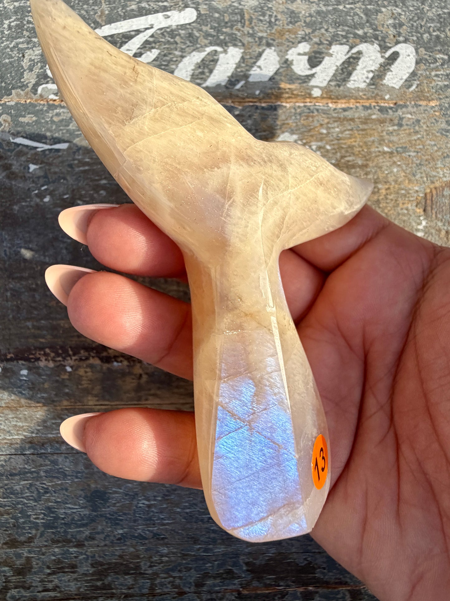 Gorgeous Blue Flash Moonstone Whale Tail | Opt 15