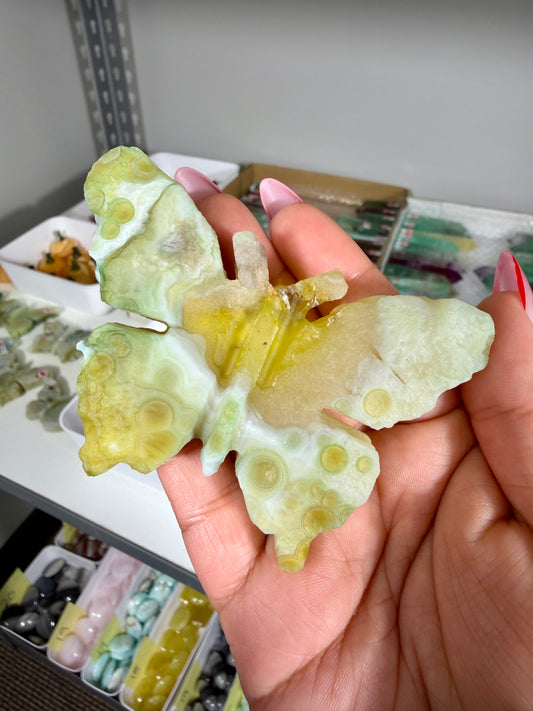 Gorgeous Gobi Agate Hand Carved Butterfly | Opt 42