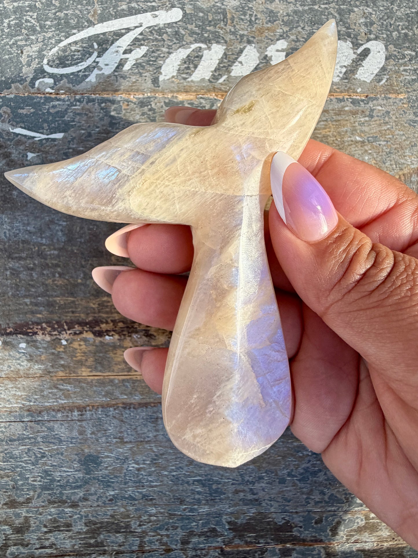 Gorgeous Blue Flash Moonstone Whale Tail | Opt 15