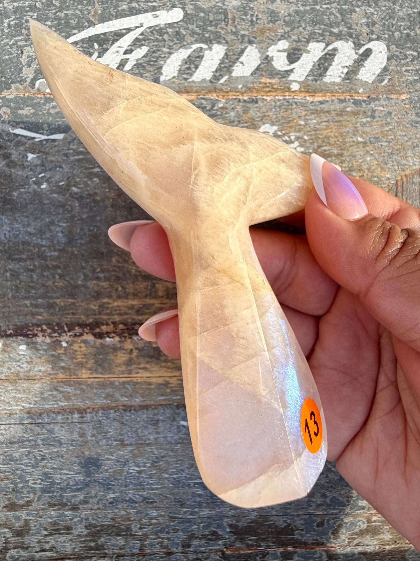 Gorgeous Blue Flash Moonstone Whale Tail | Opt 15