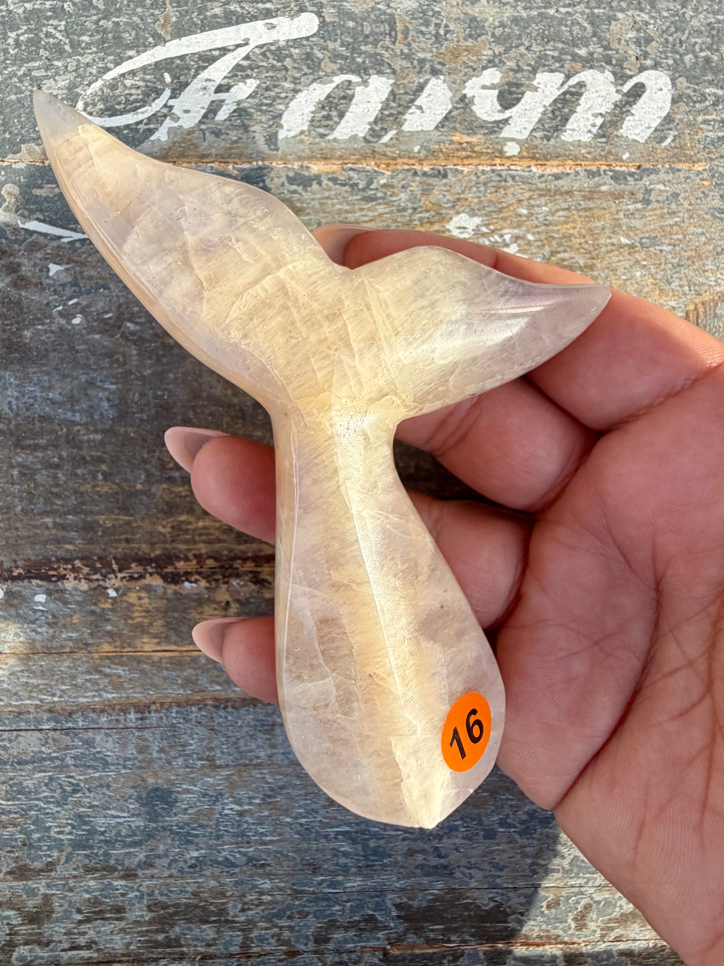 Gorgeous Blue Flash Moonstone Whale Tail | Opt 16