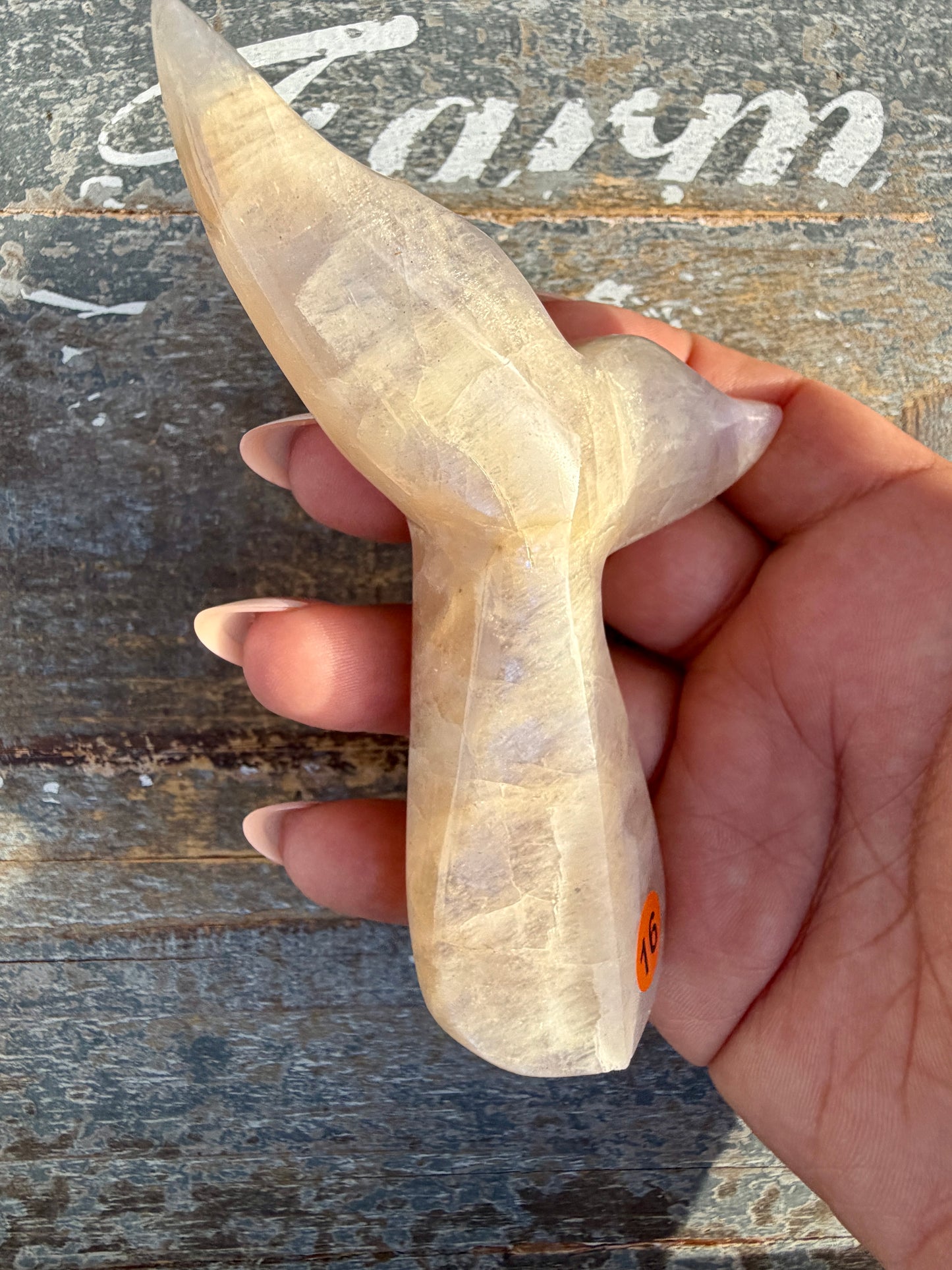 Gorgeous Blue Flash Moonstone Whale Tail | Opt 16