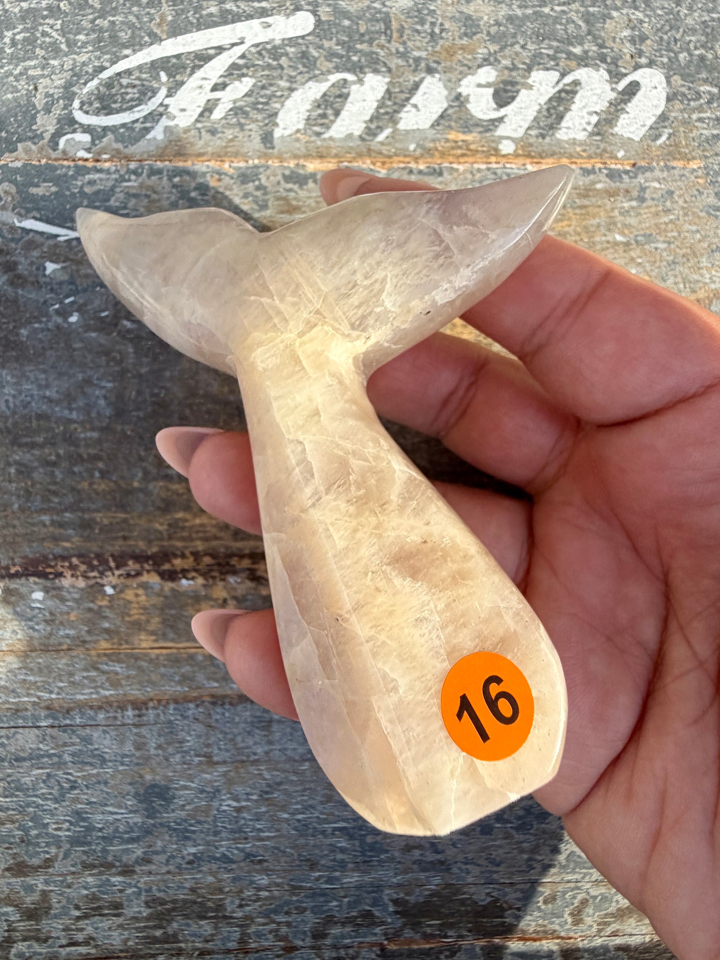 Gorgeous Blue Flash Moonstone Whale Tail | Opt 16