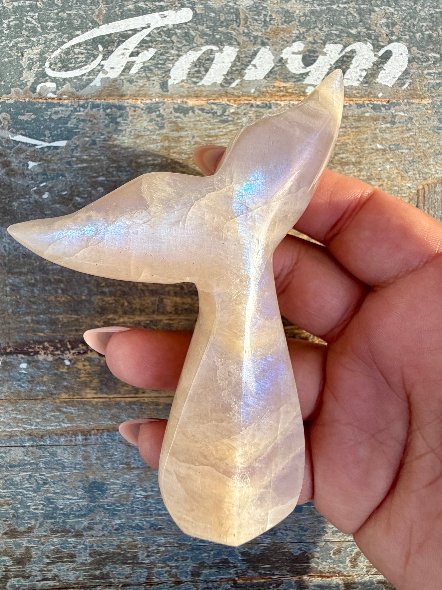 Gorgeous Blue Flash Moonstone Whale Tail | Opt 16